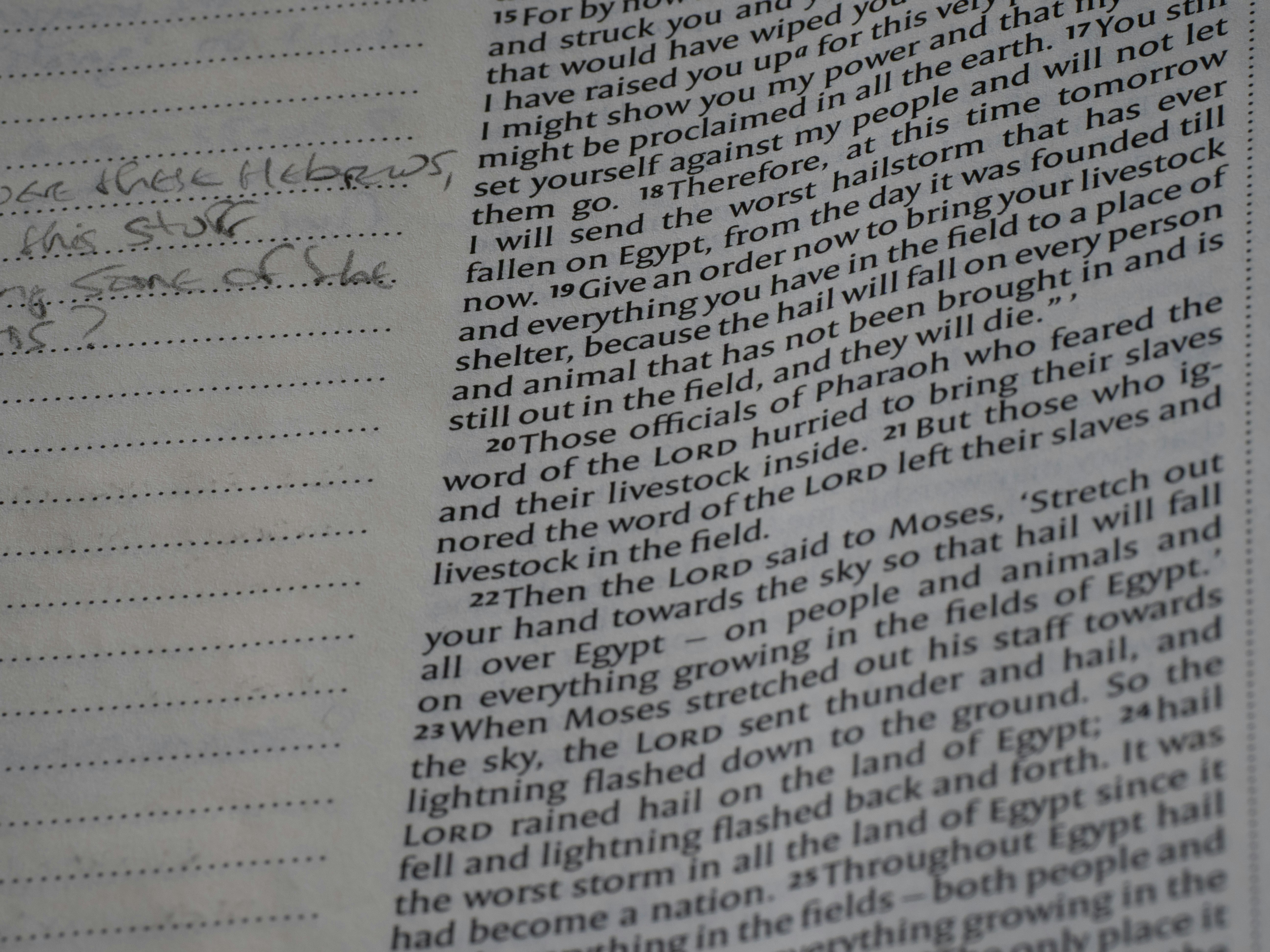 Photo by brett_jordan