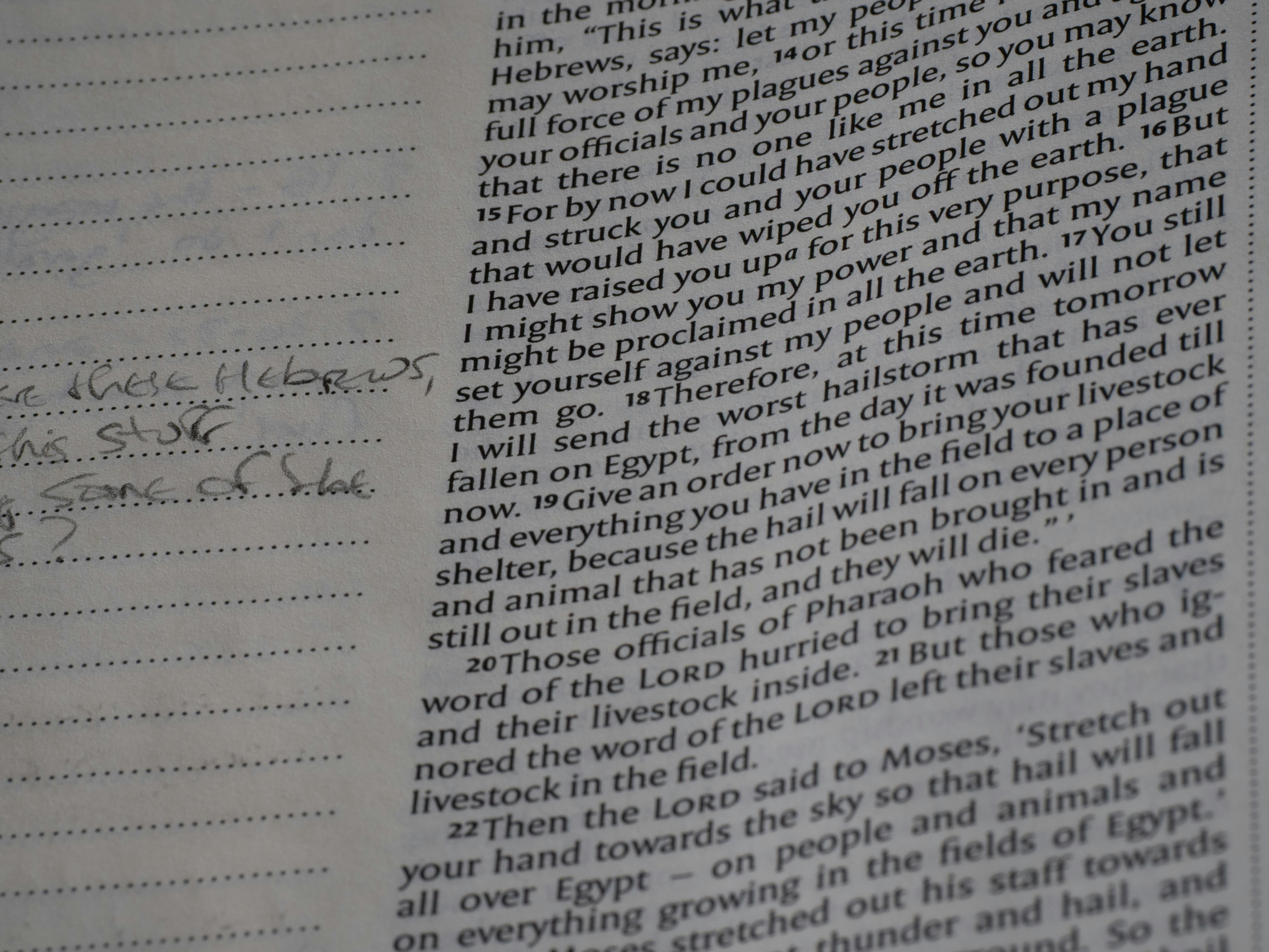 Close-up of text in a book with handwritten notes.