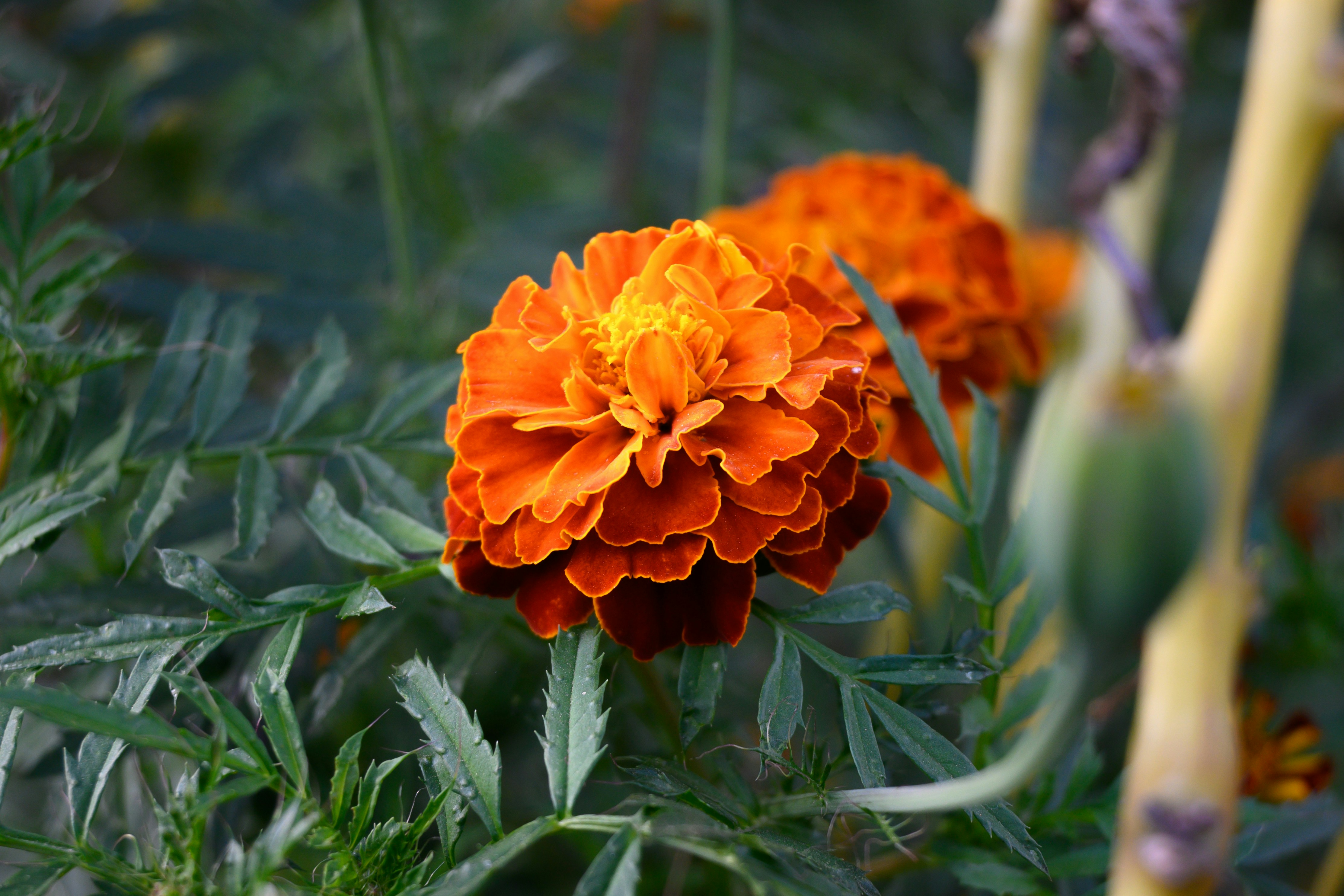 Photo by bobohuang_92