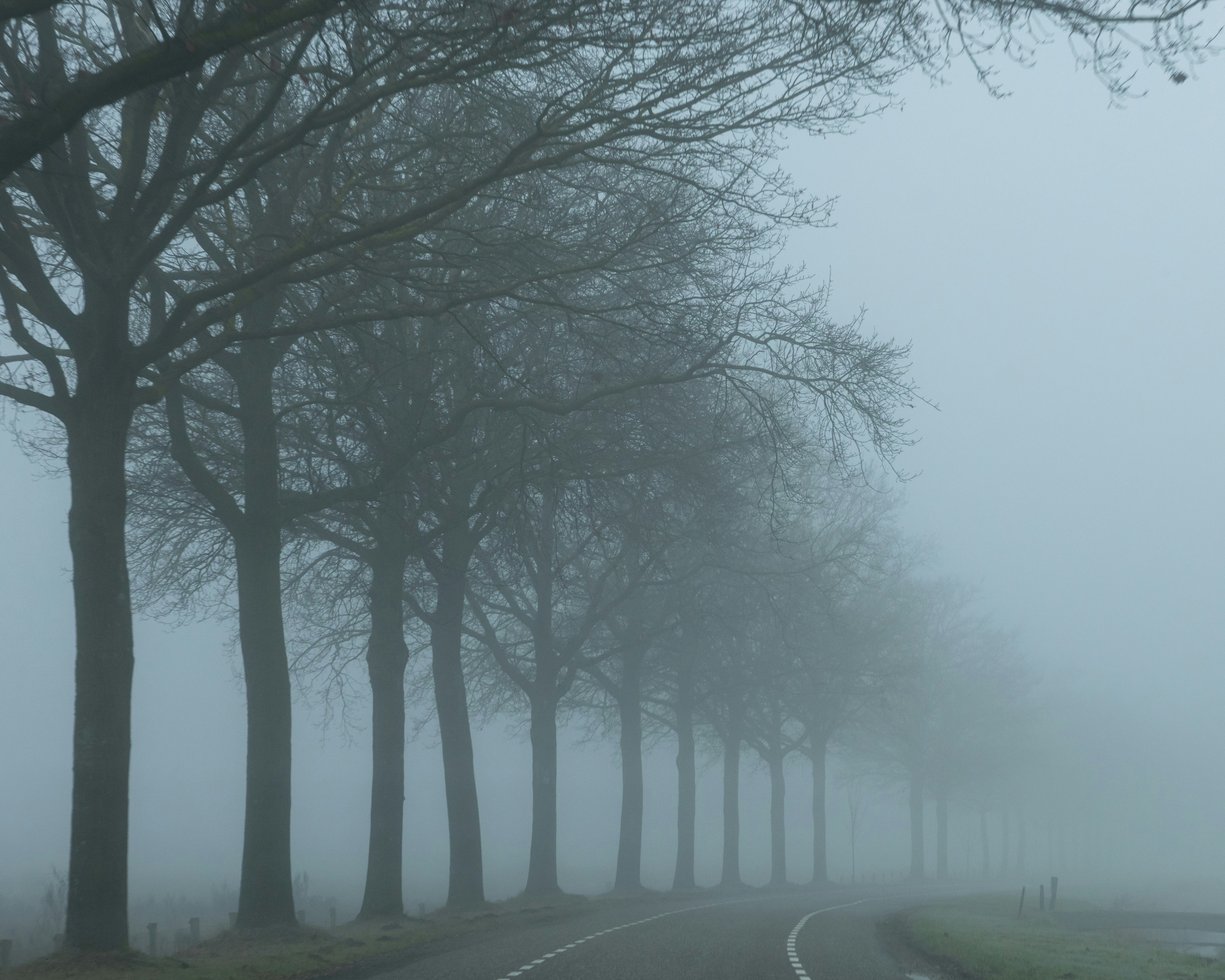 Photo by elkeburhenne