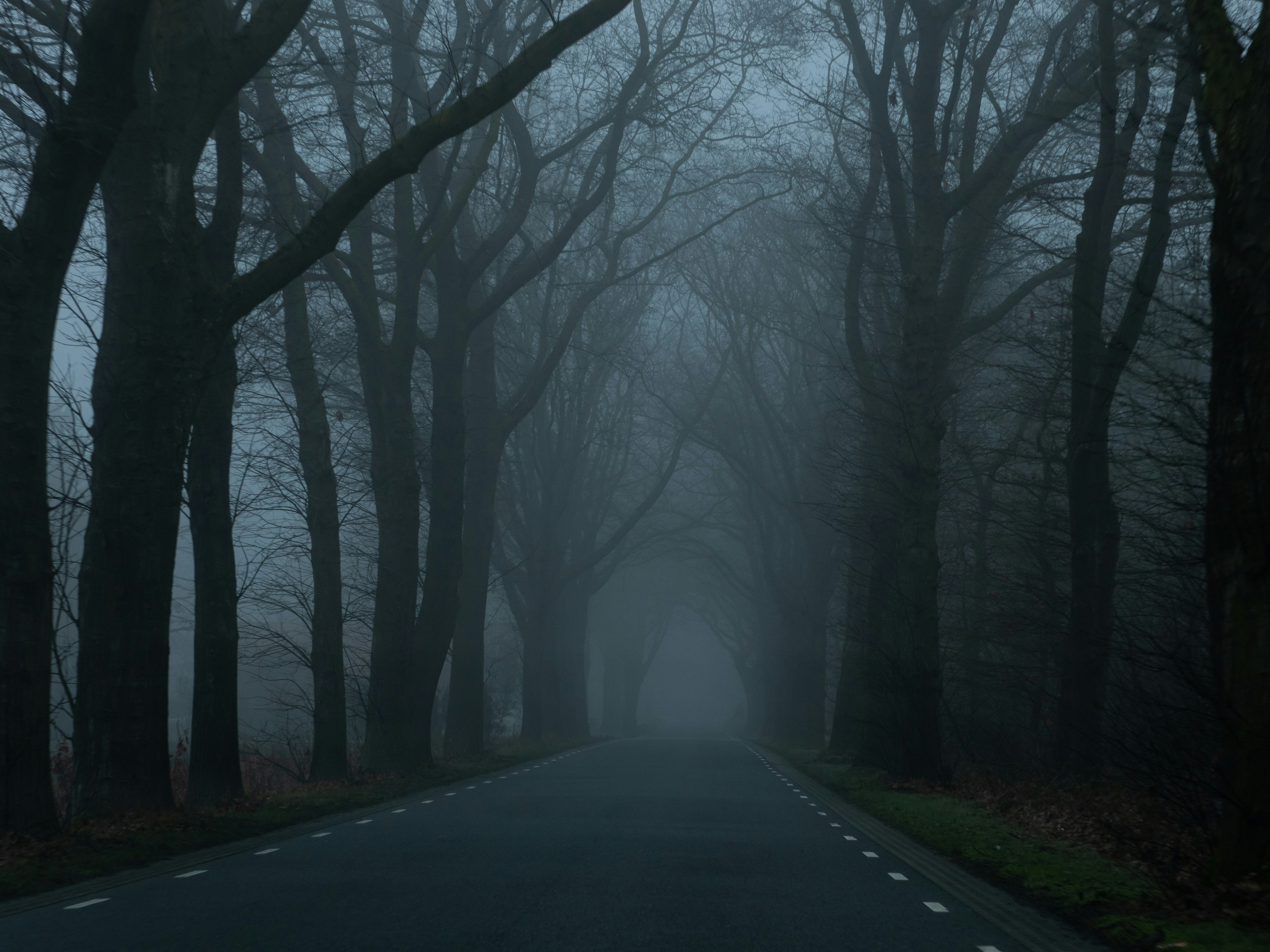 Photo by elkeburhenne