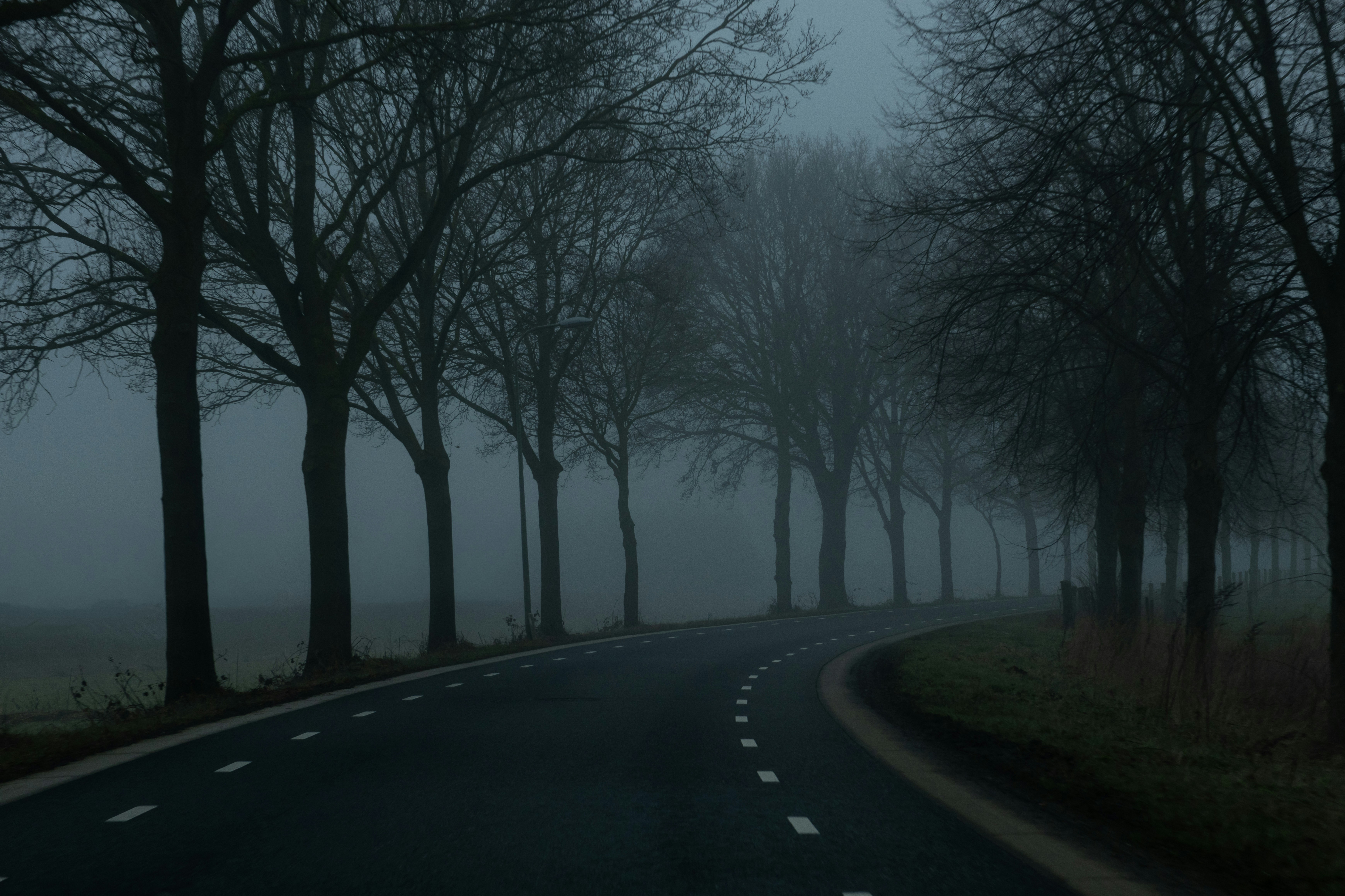 Photo by elkeburhenne