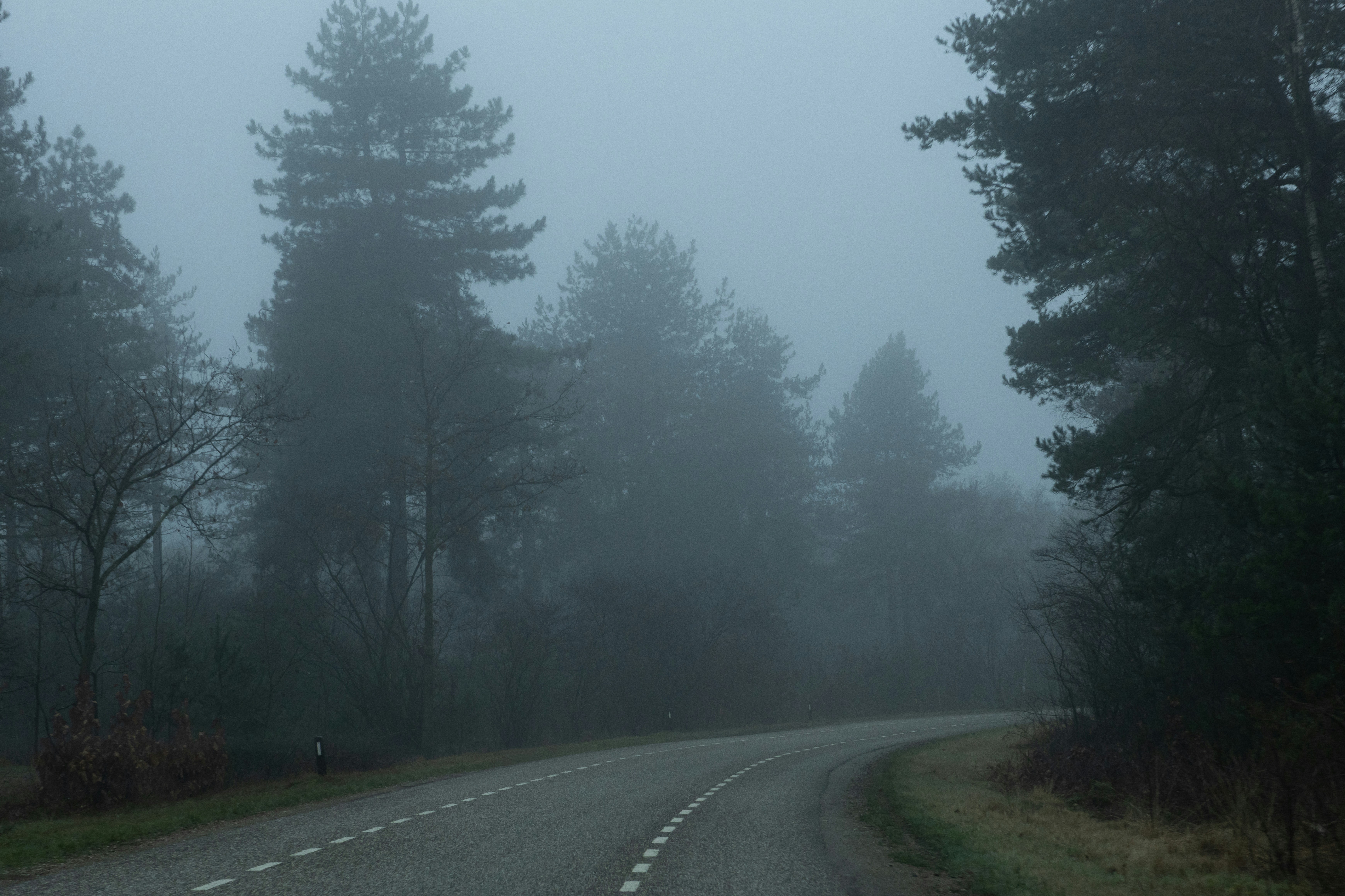 Photo by elkeburhenne