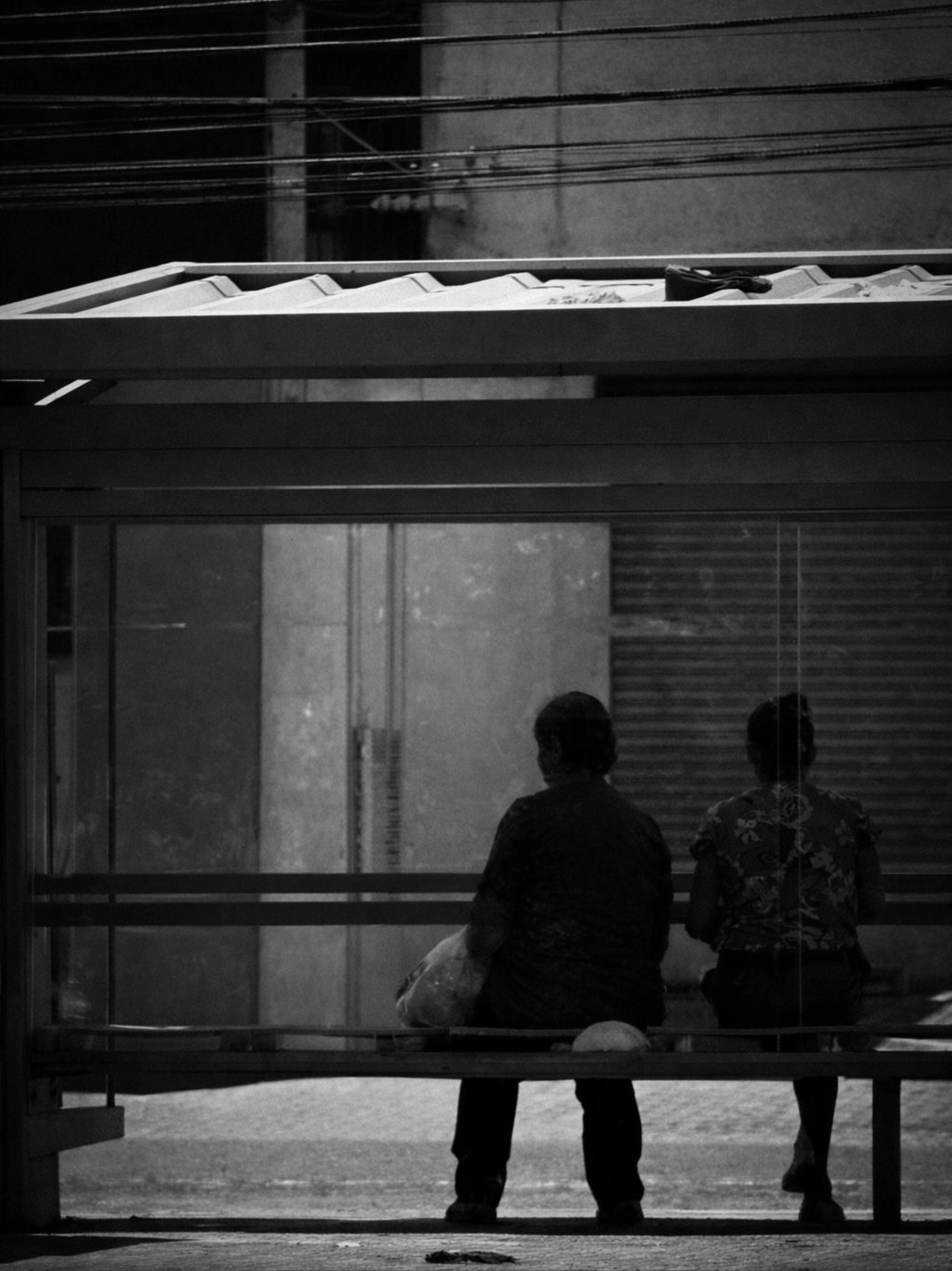 Photo by brenoafabriciofotografia