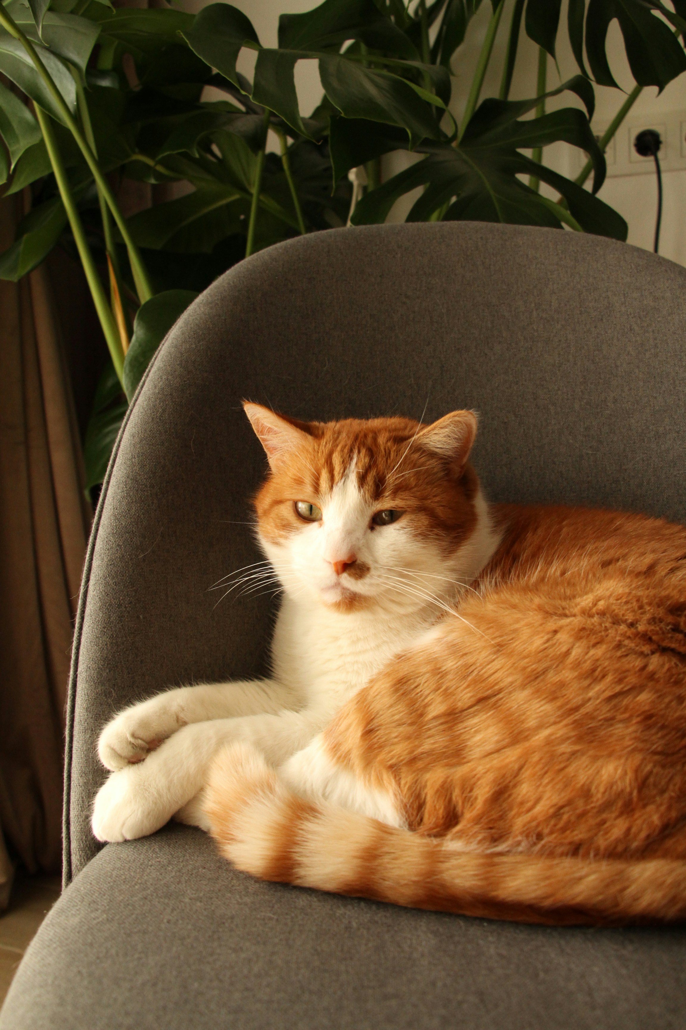 Photo by dmytrodovgan