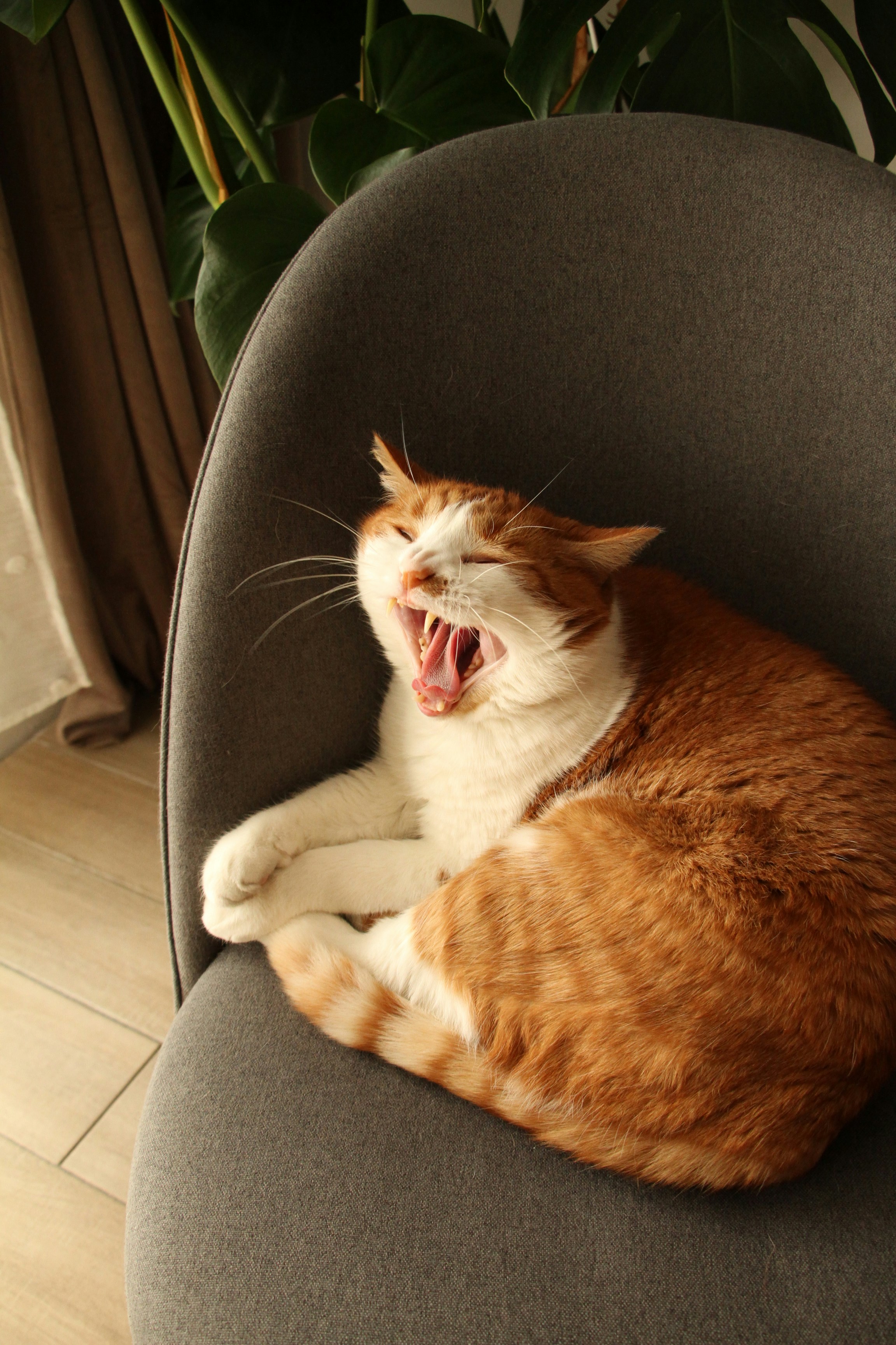 Photo by dmytrodovgan