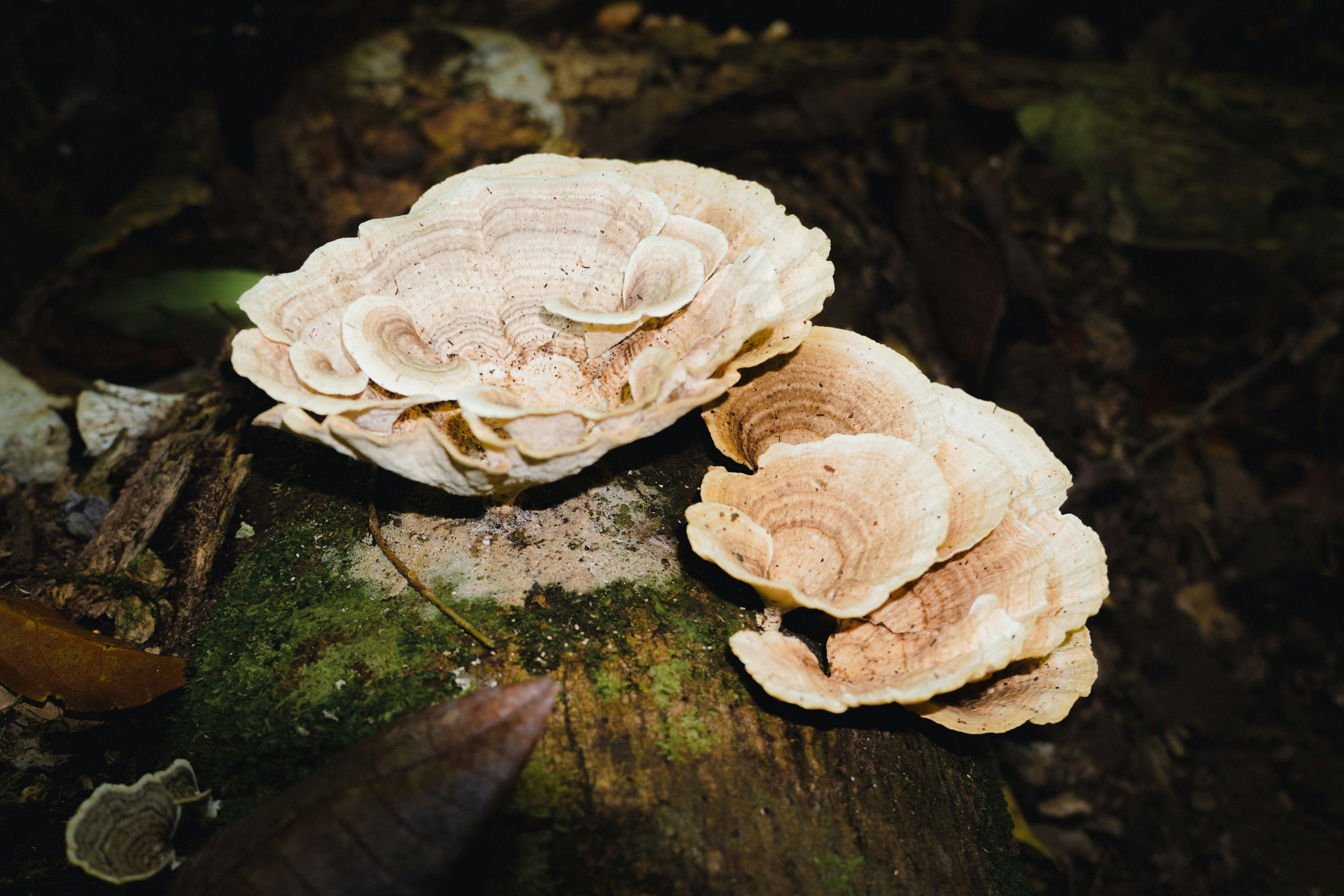 Photo by adrianvalverdem