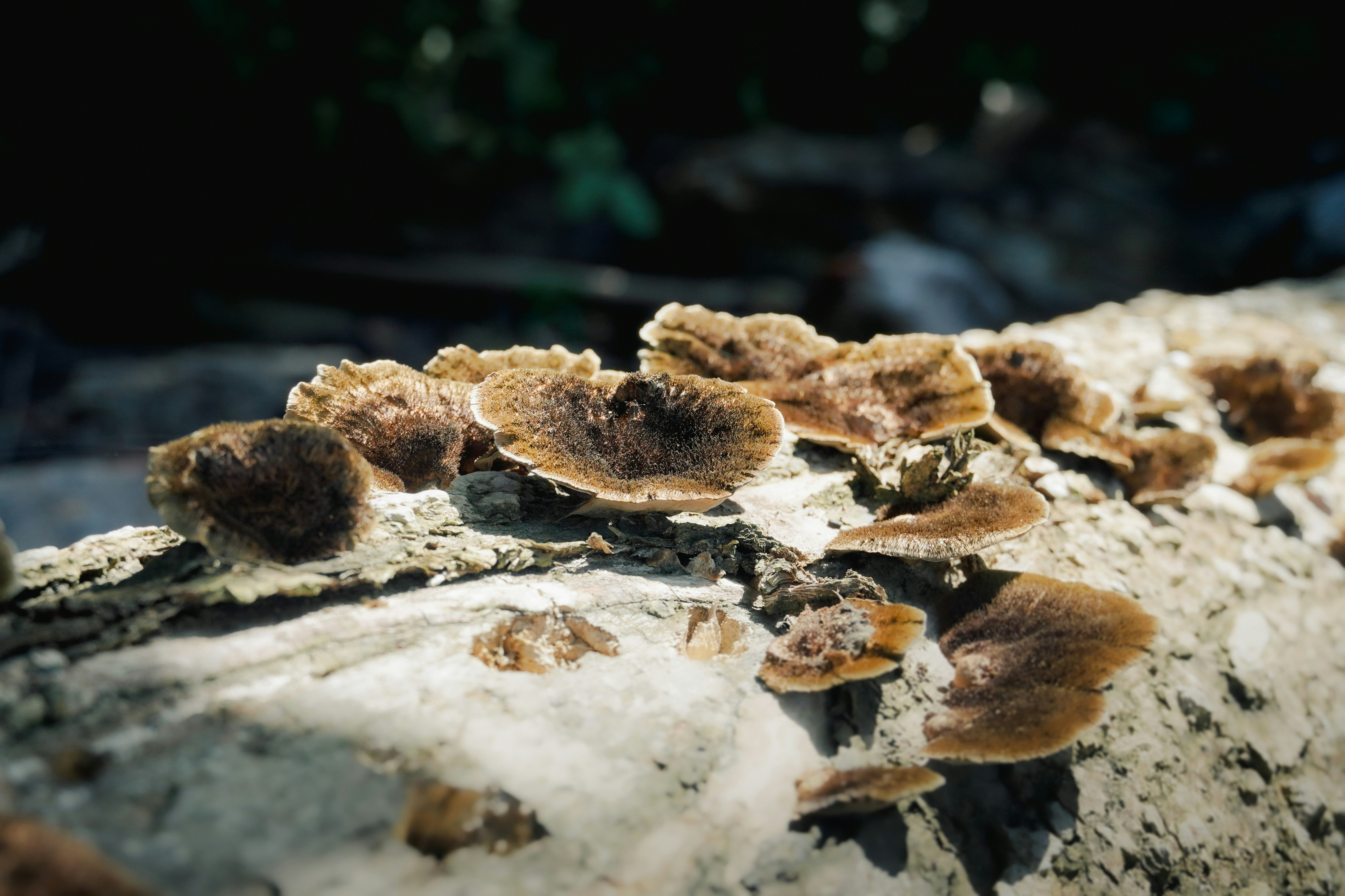 Photo by adrianvalverdem