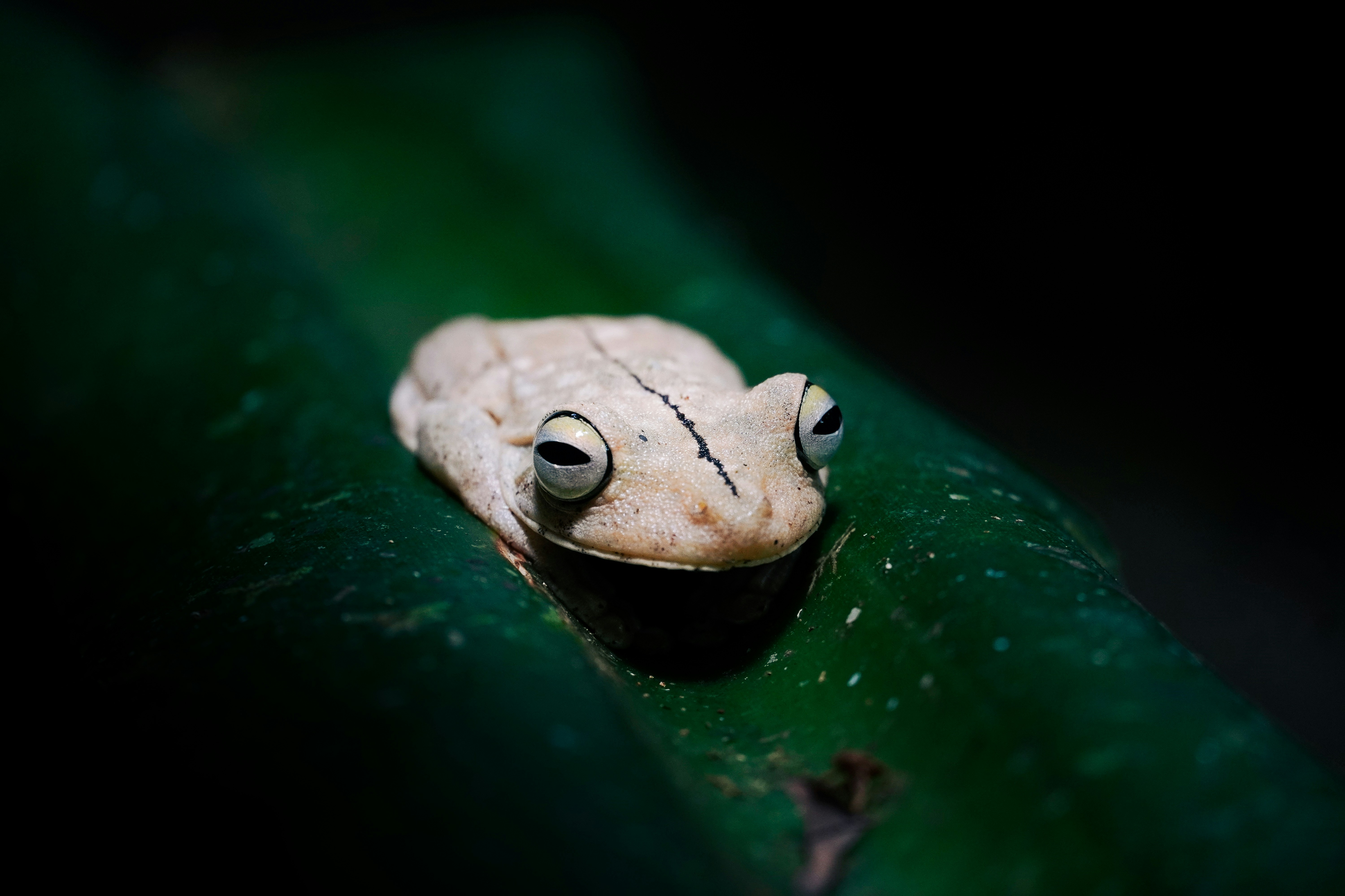 Photo by adrianvalverdem