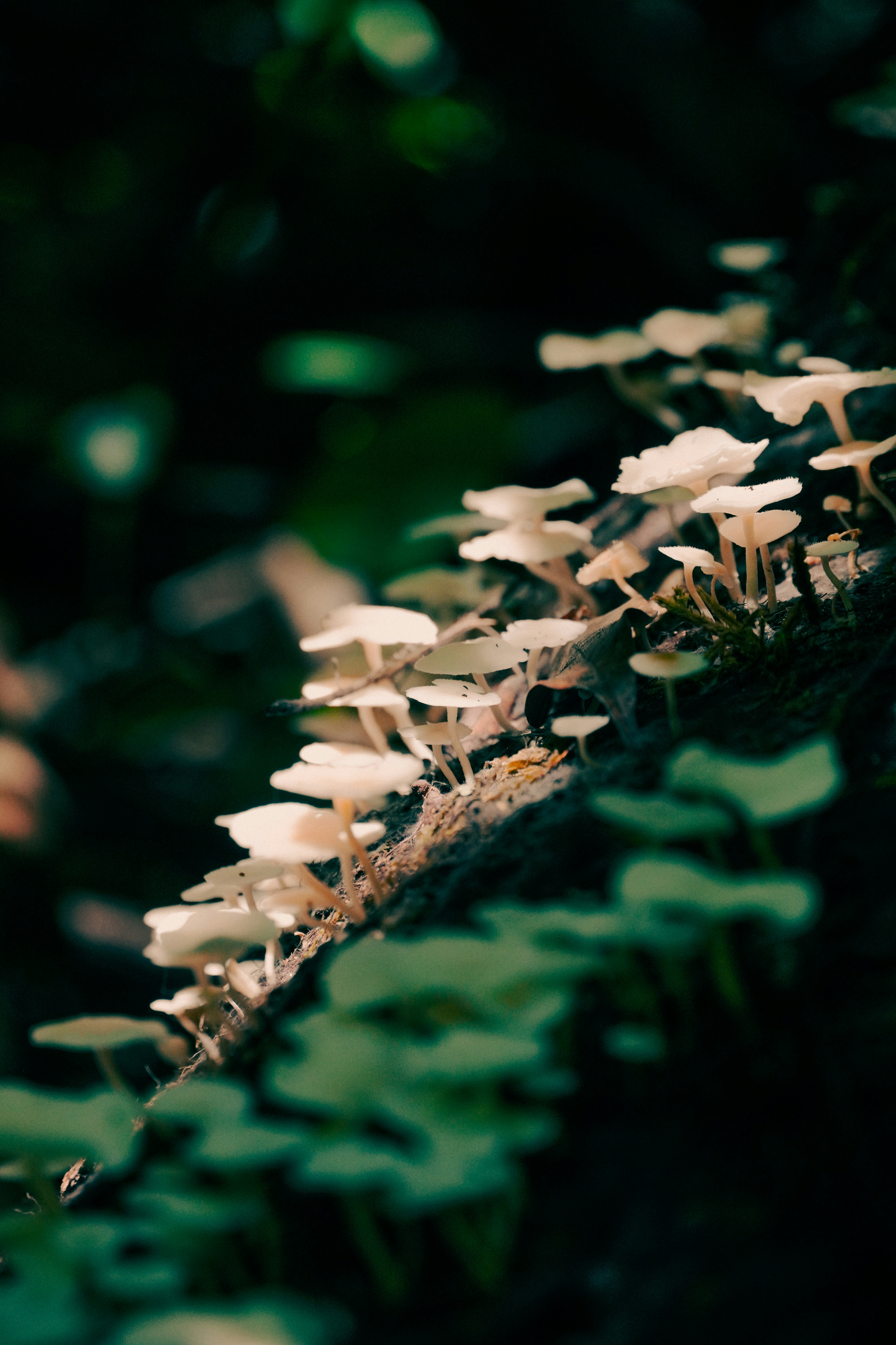 Photo by adrianvalverdem