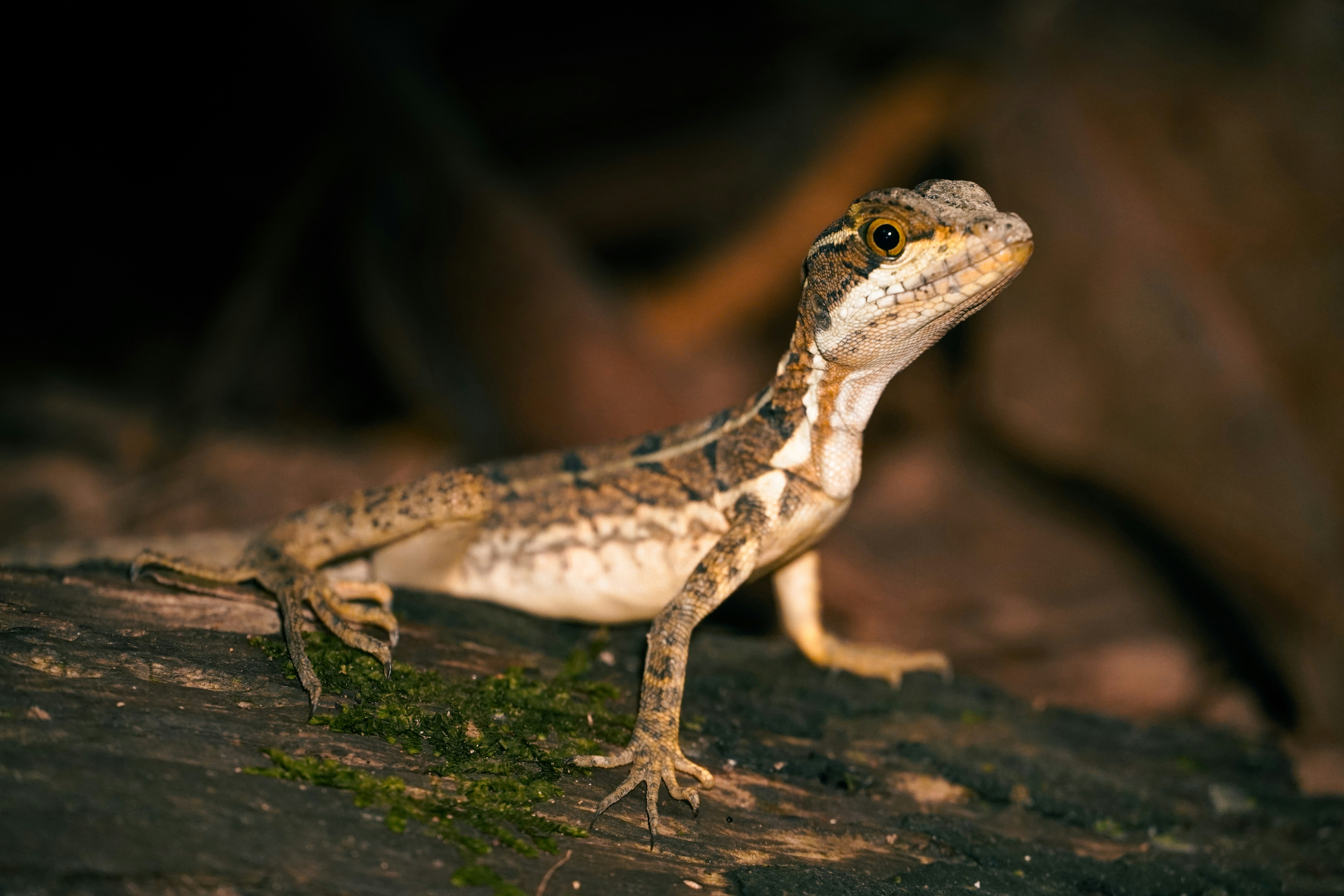 Photo by adrianvalverdem