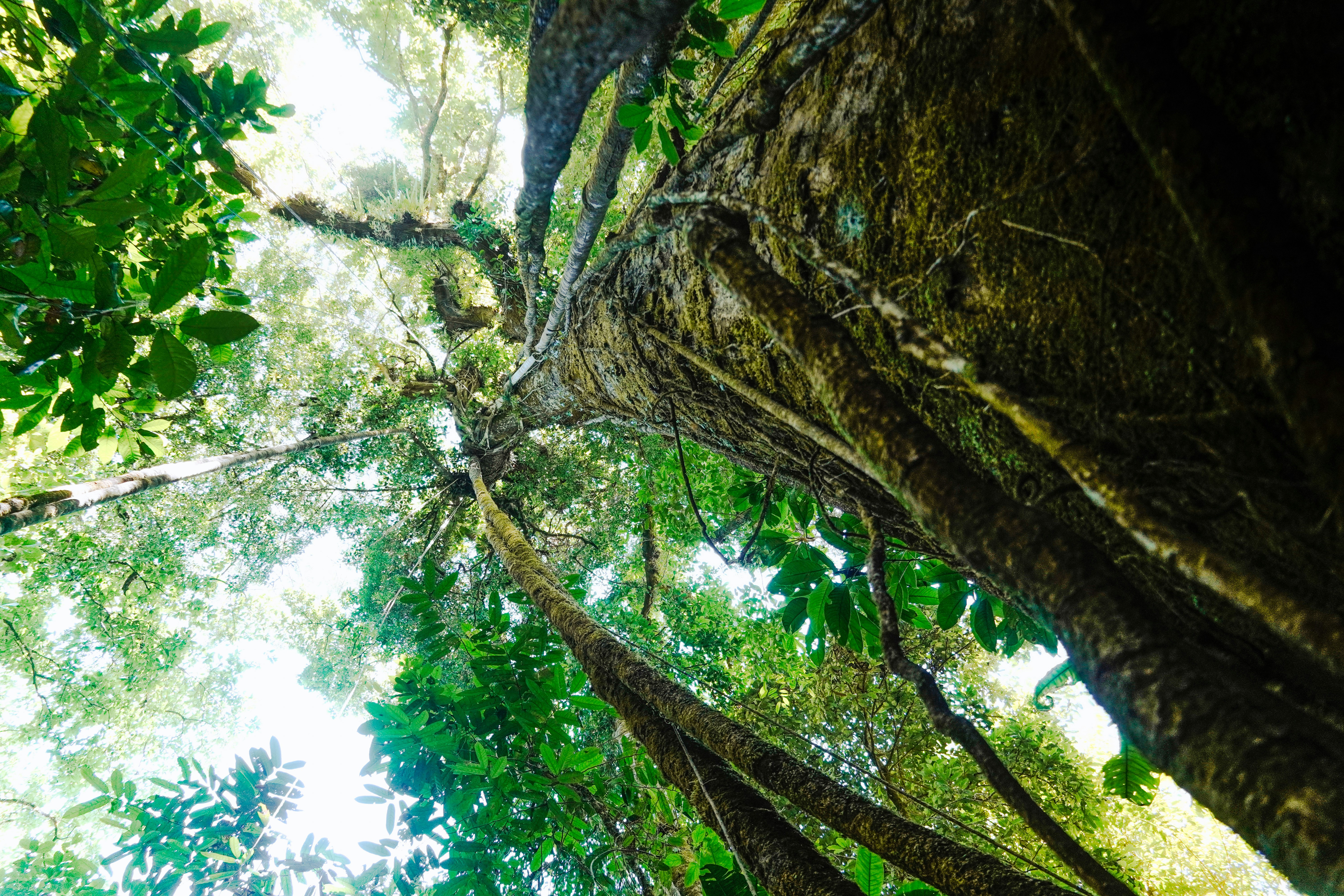 Photo by adrianvalverdem