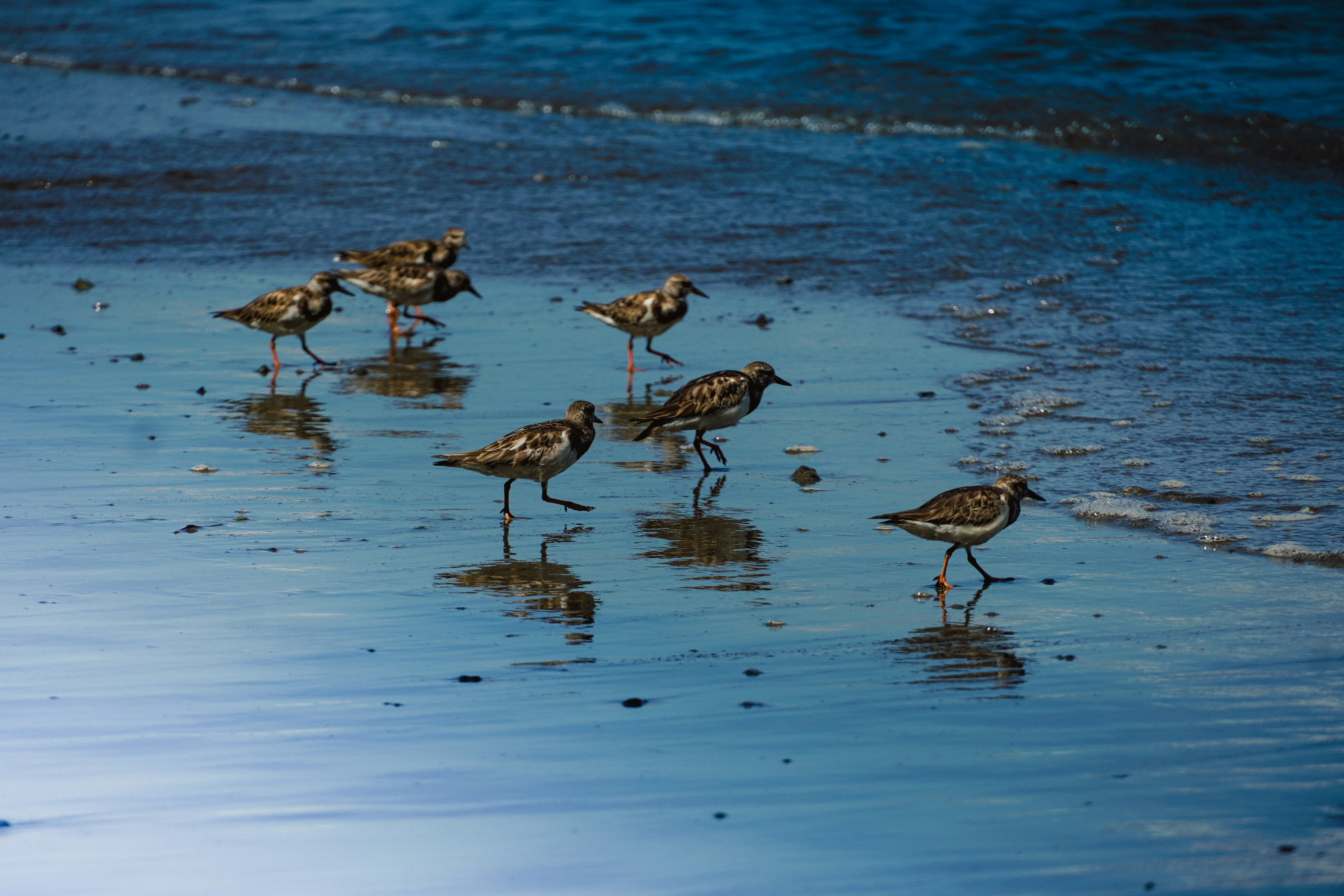 Photo by adrianvalverdem