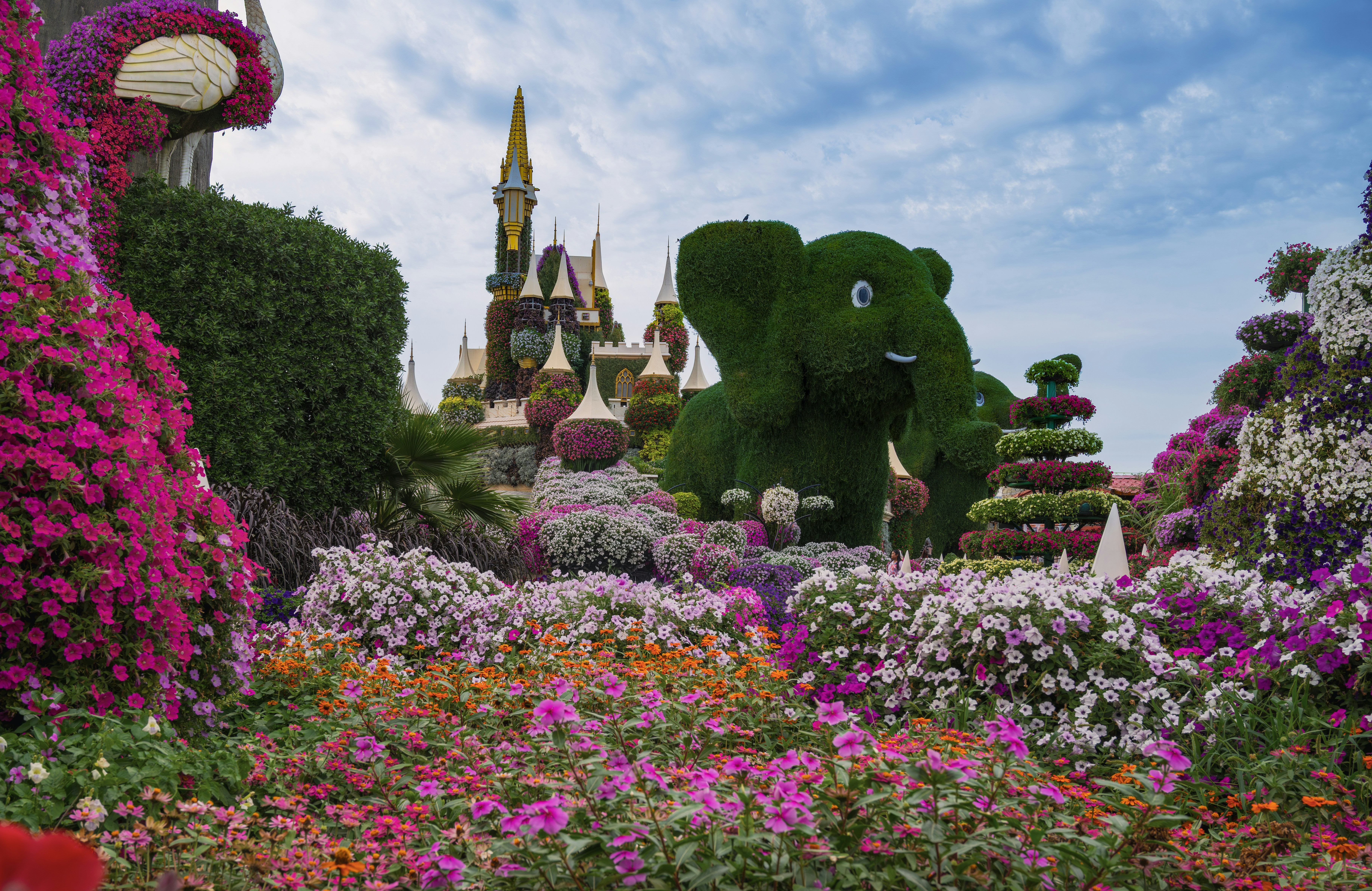 Photo by anubhavsonker