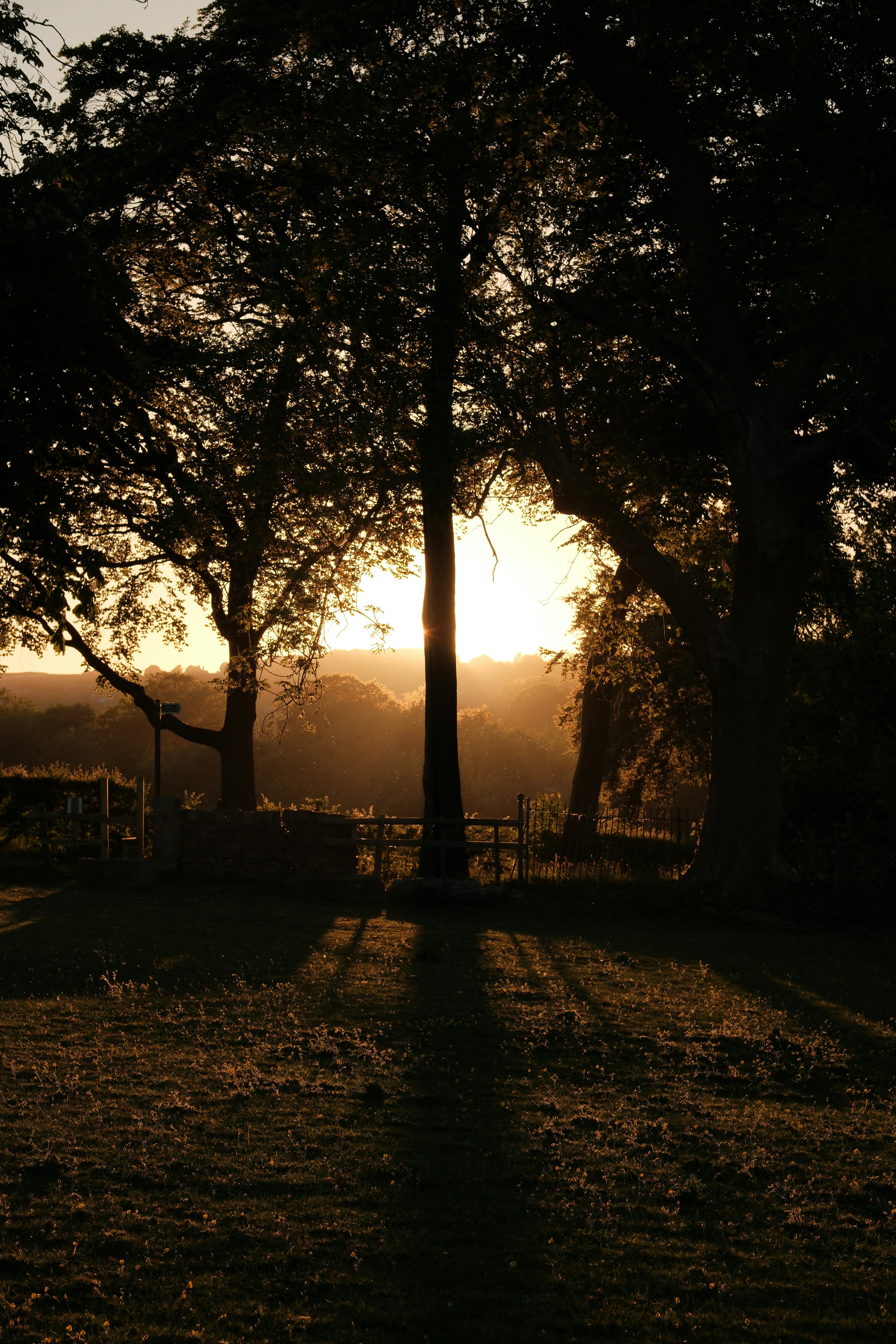 Photo by alekseixagafonov