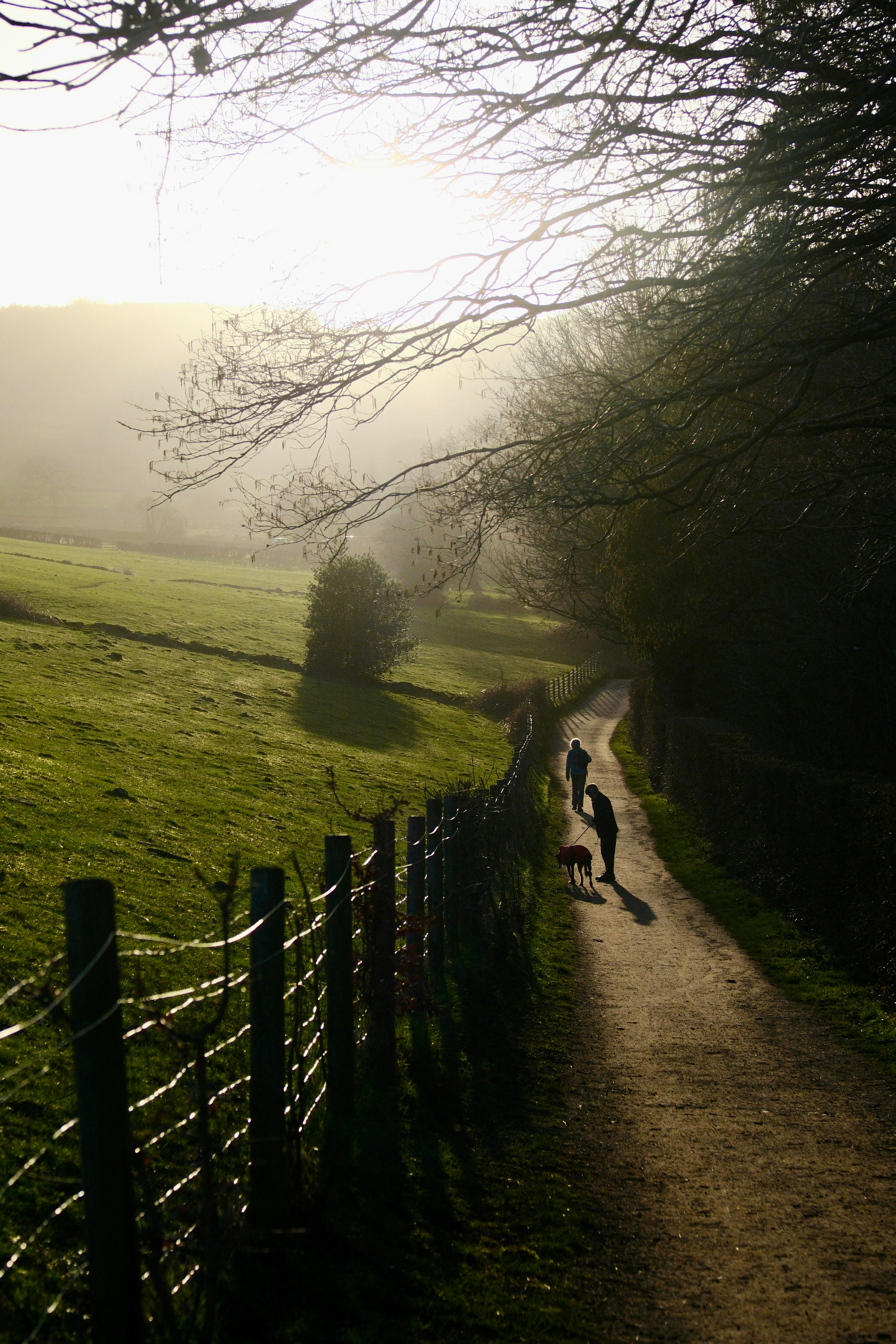 Two people walk their dog on a misty path.