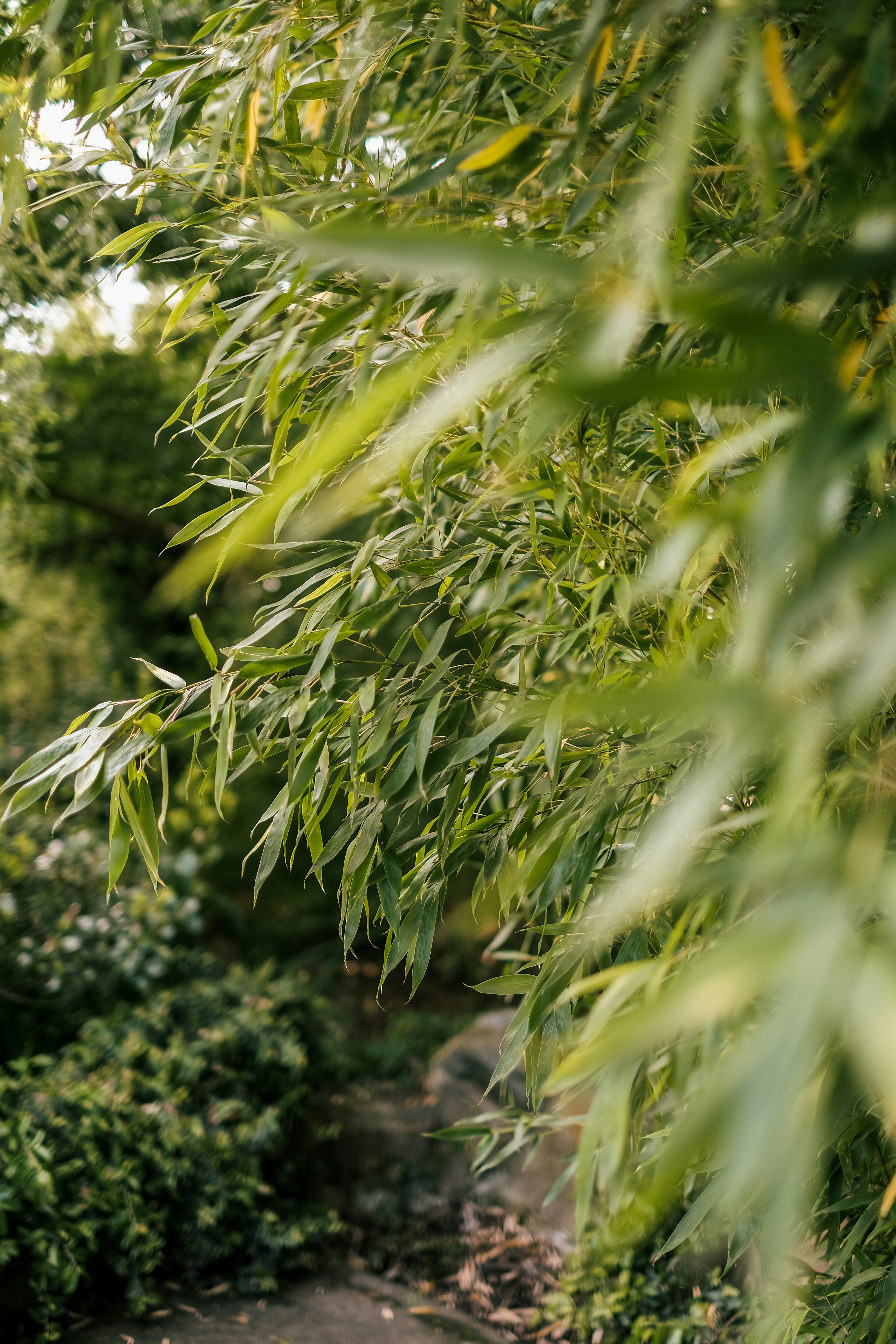 Photo by raegocreative