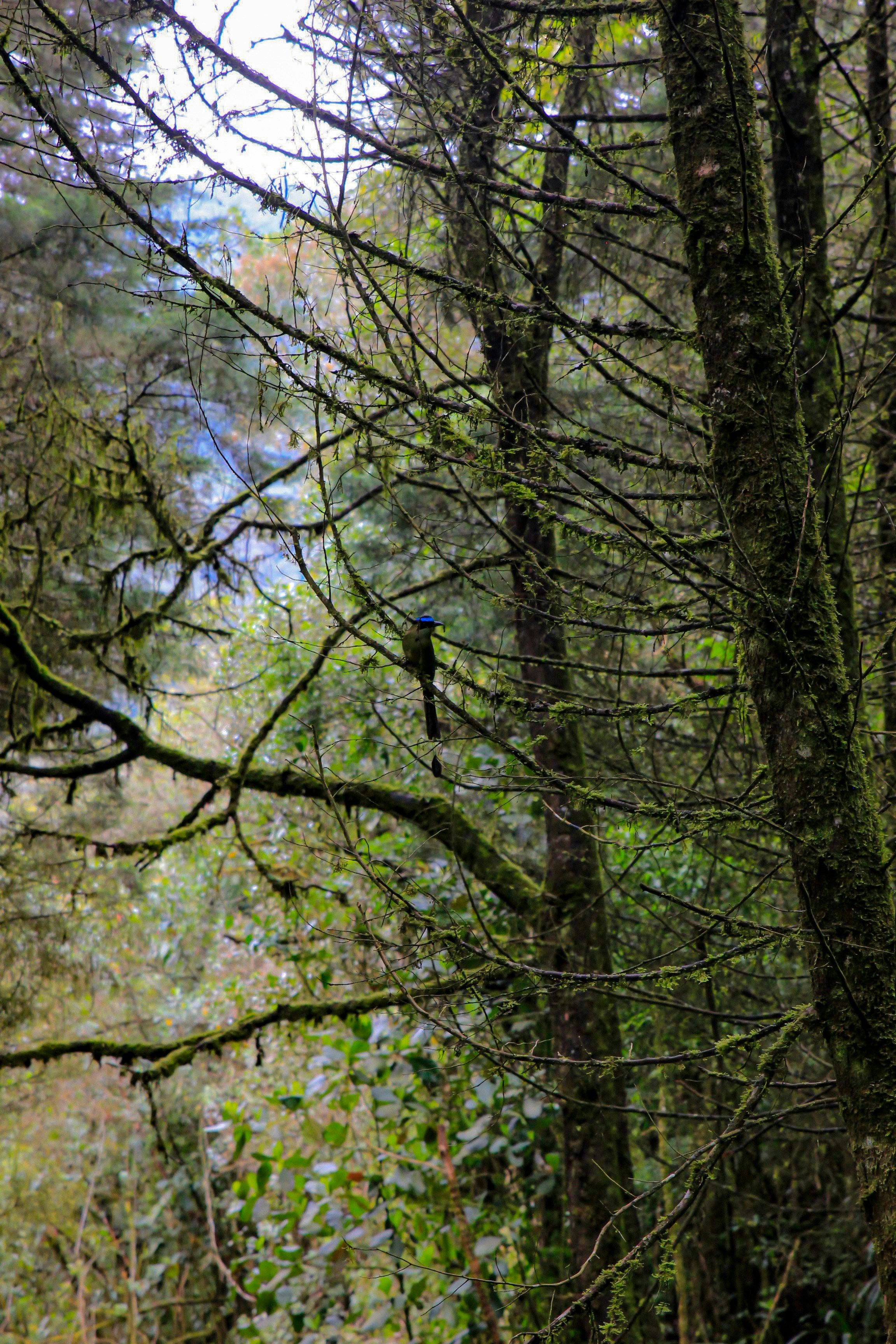 Photo by calleyselva