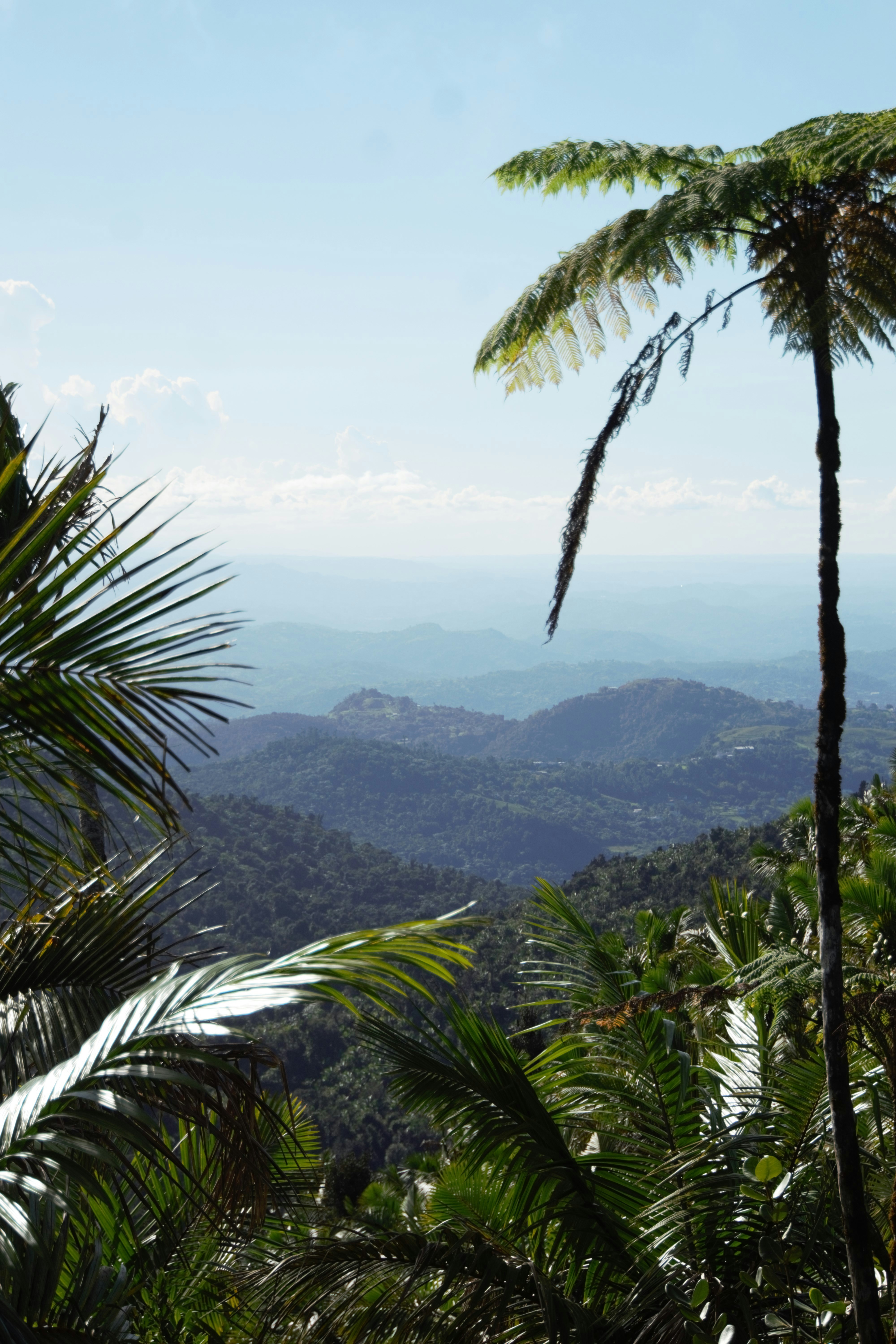 Rainforest mountain view from a boutique lodge in Costa Rica
