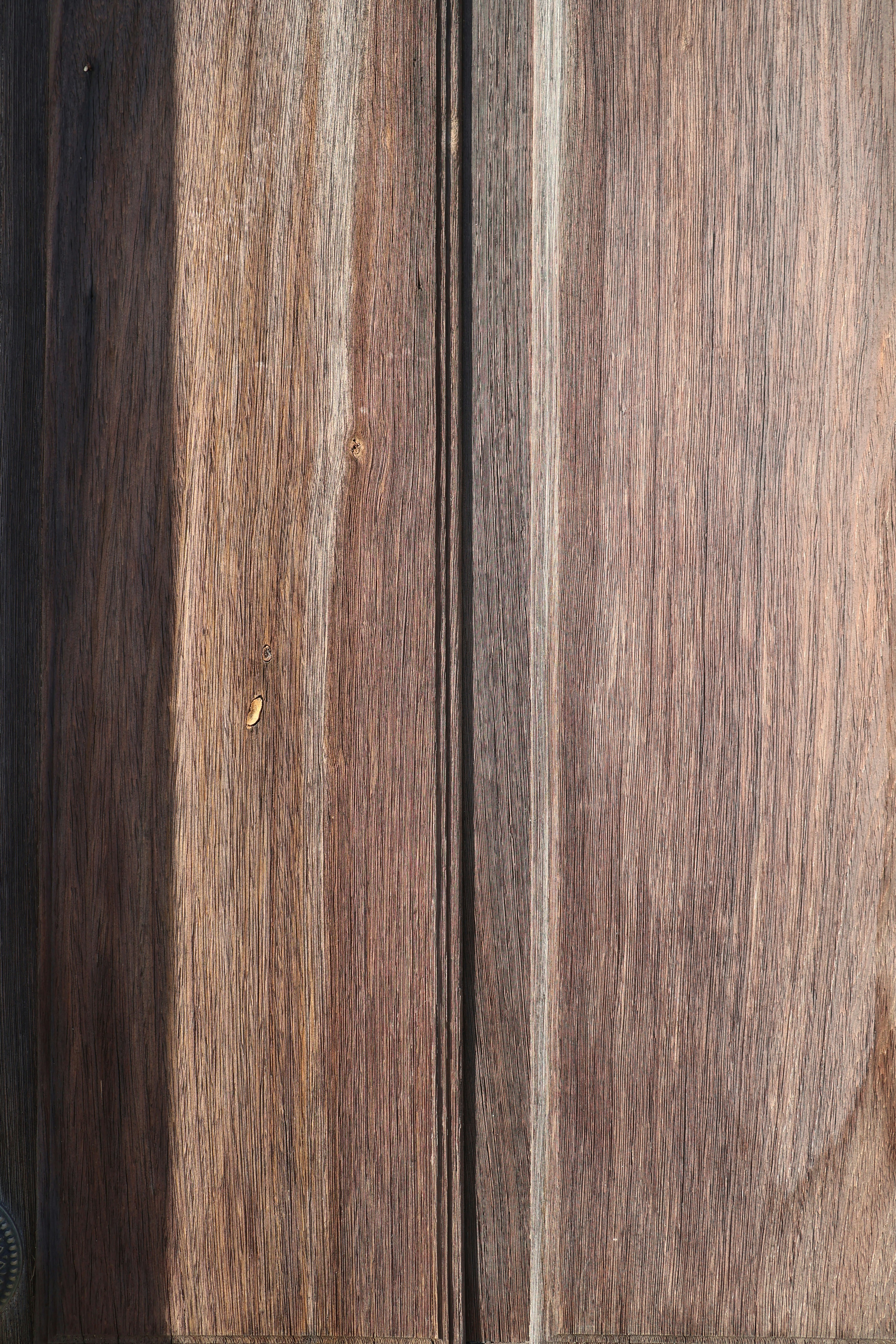 Photo by andreiacunha