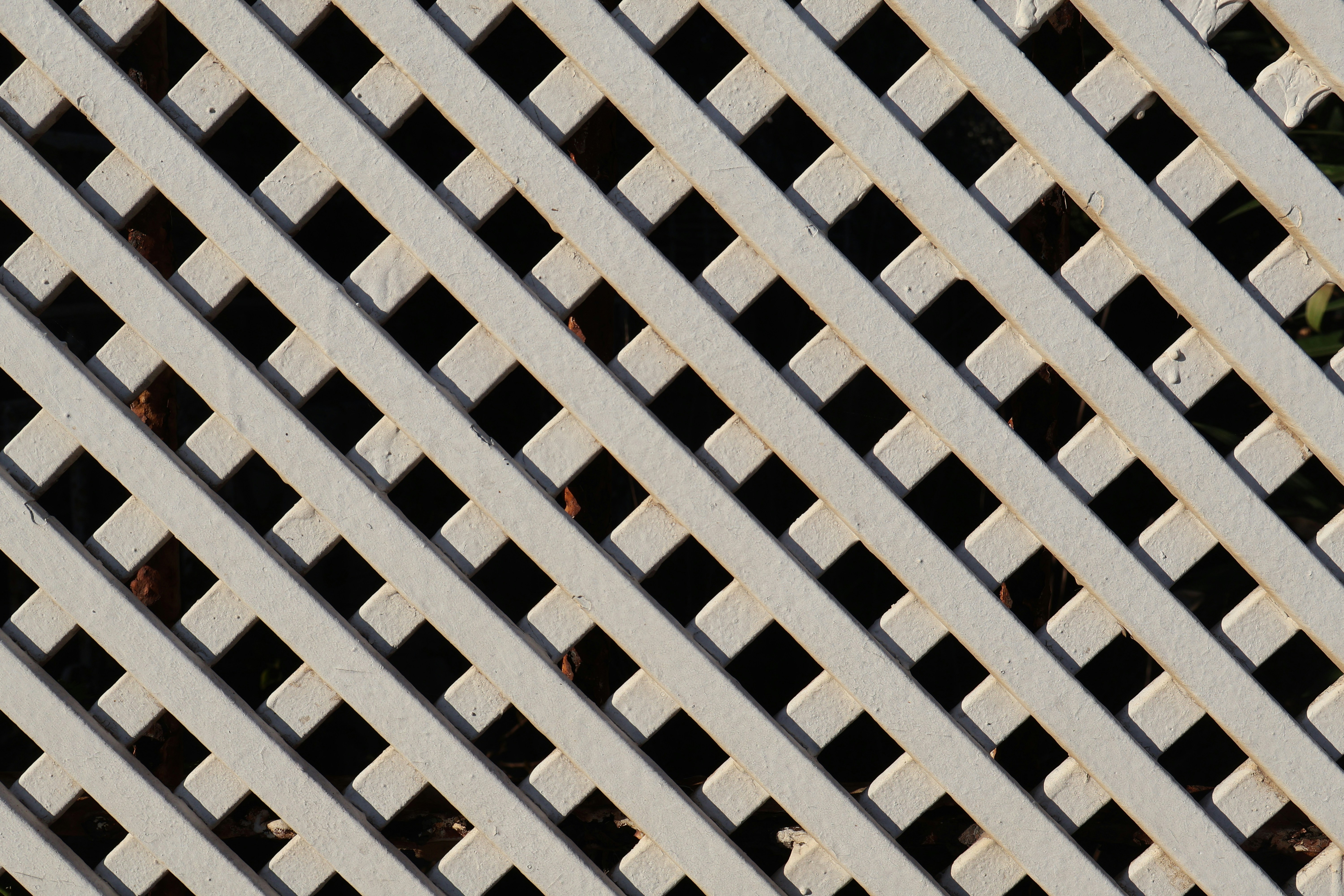 Photo by andreiacunha