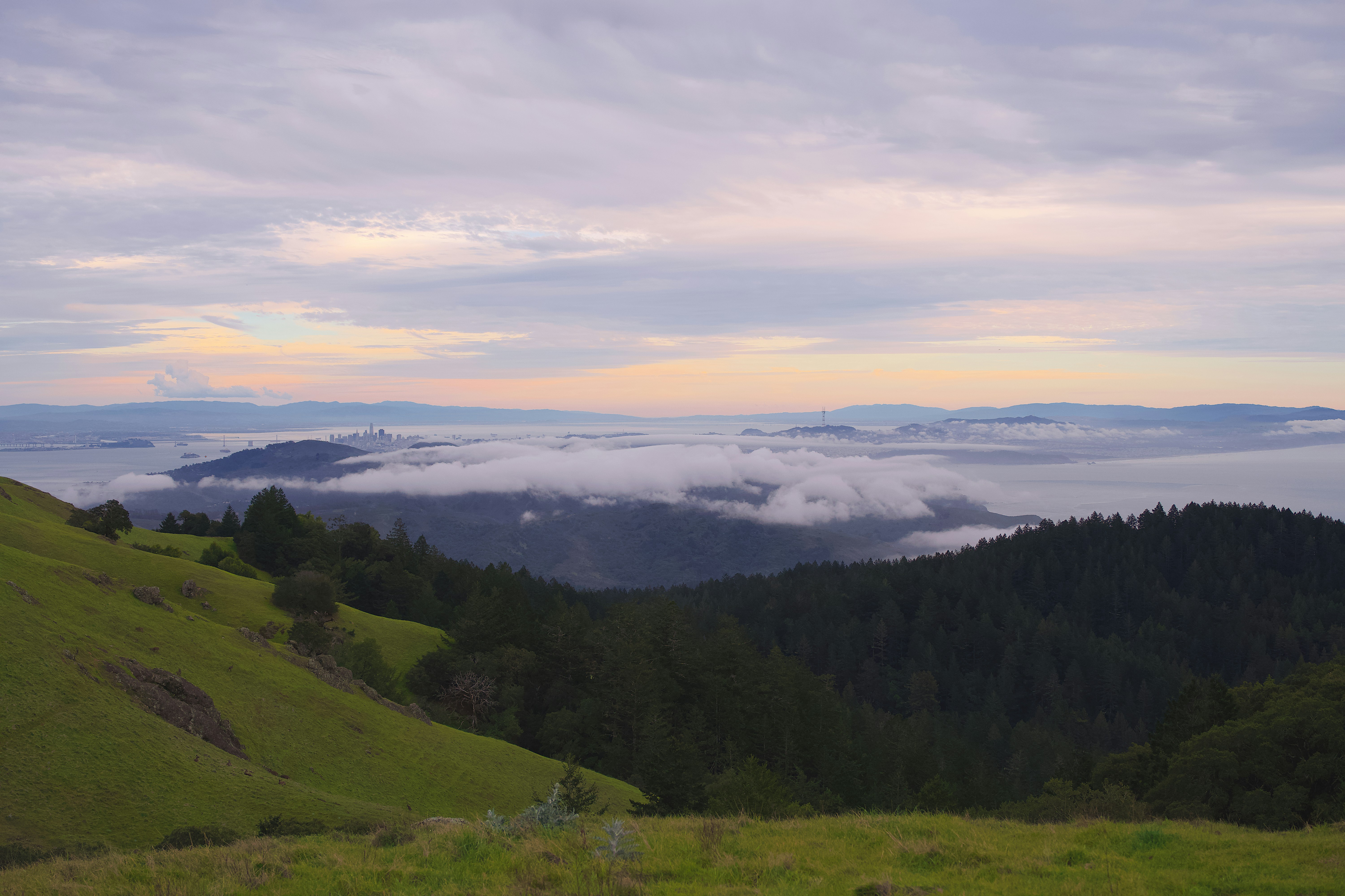 Photo by spencer_demera