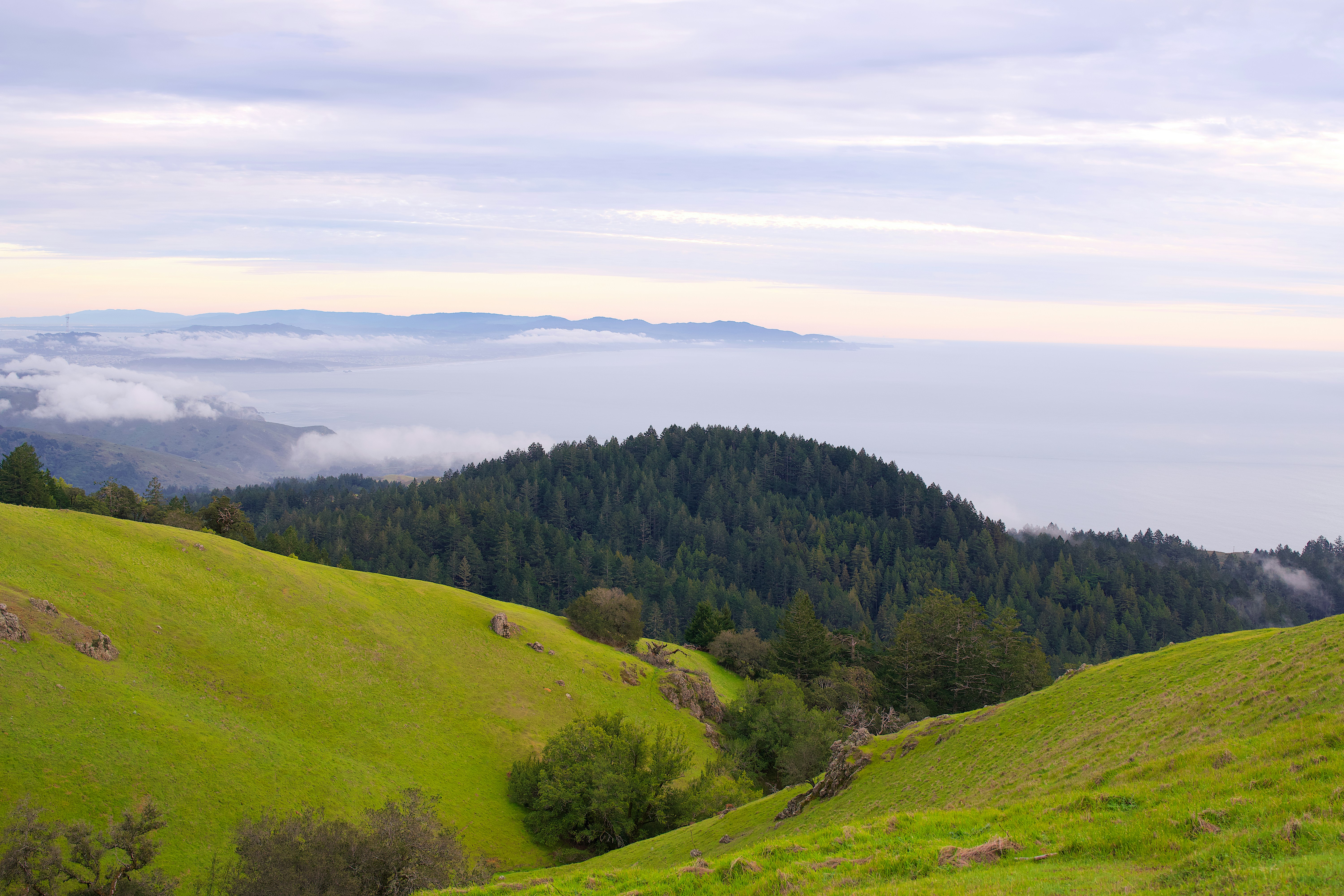 Photo by spencer_demera