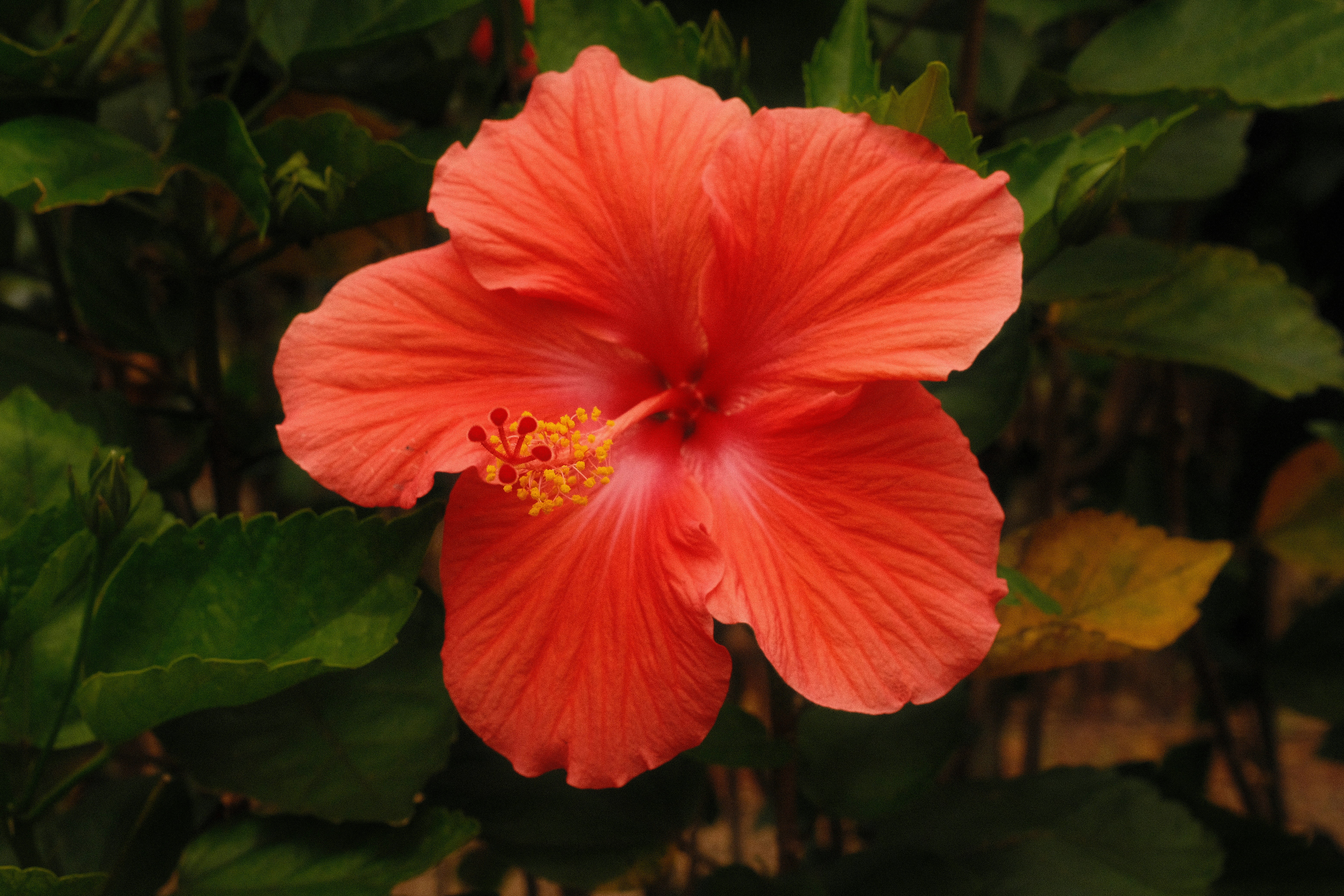 Photo by samanthacasm