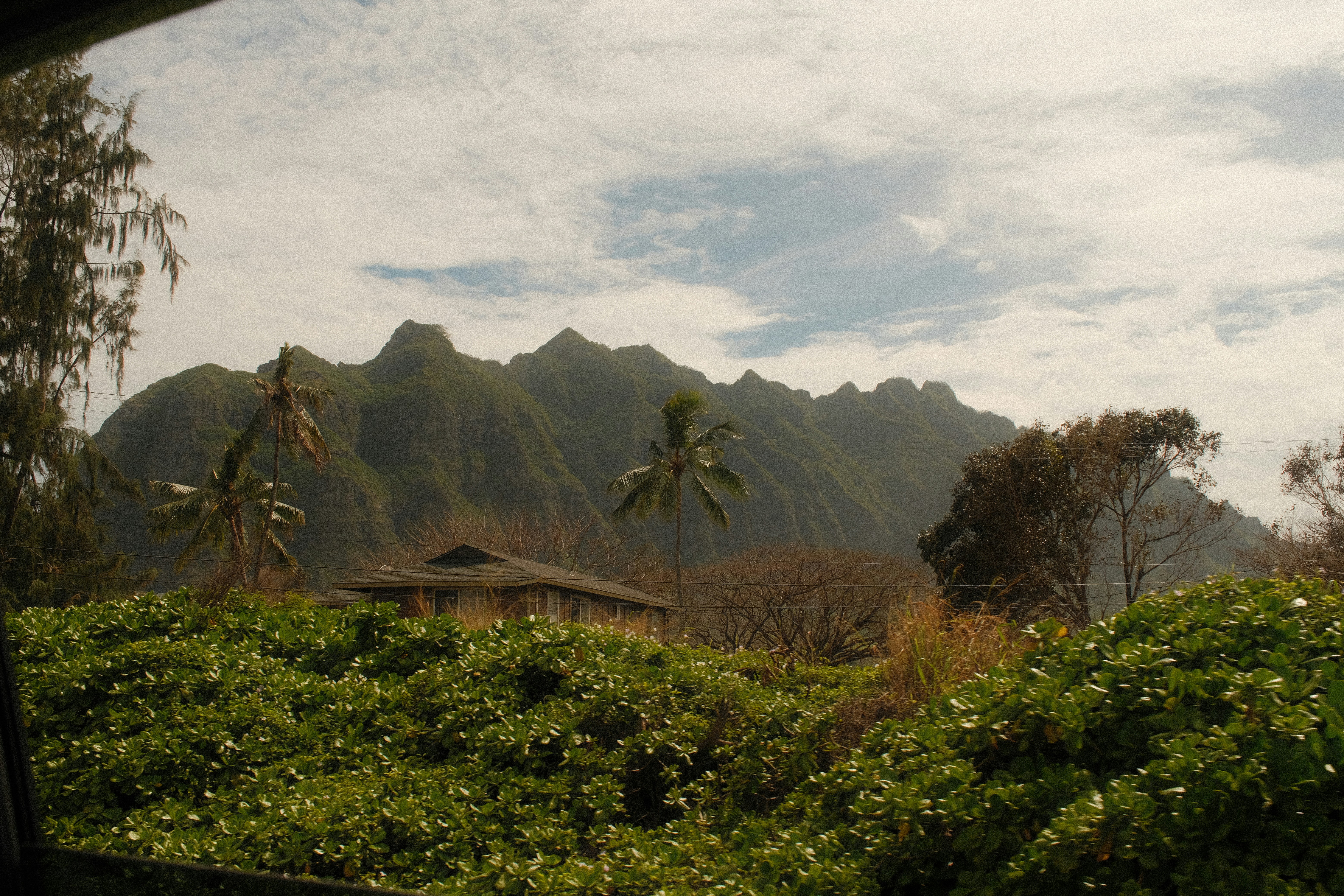 Photo by samanthacasm