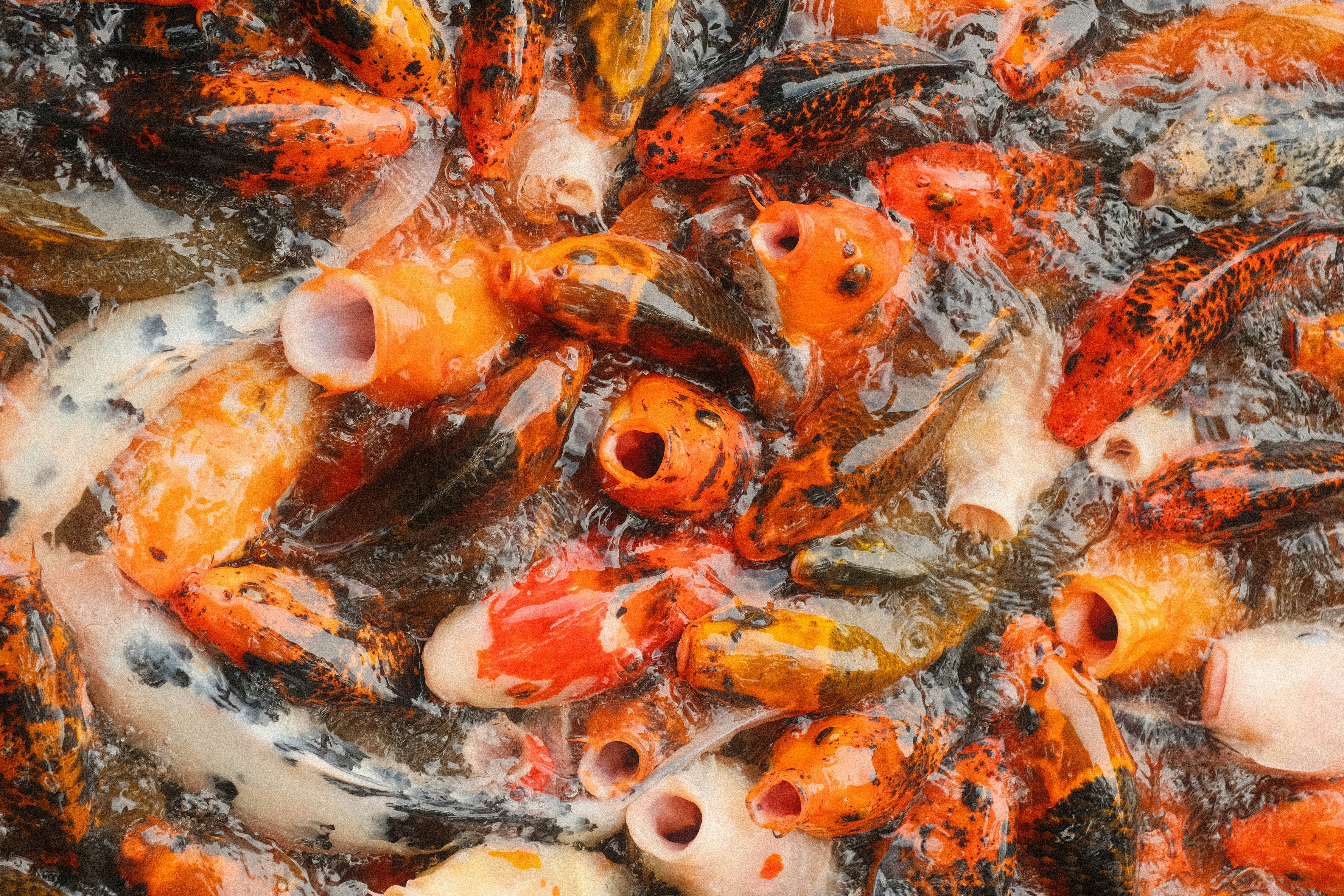 Photo by samanthacasm