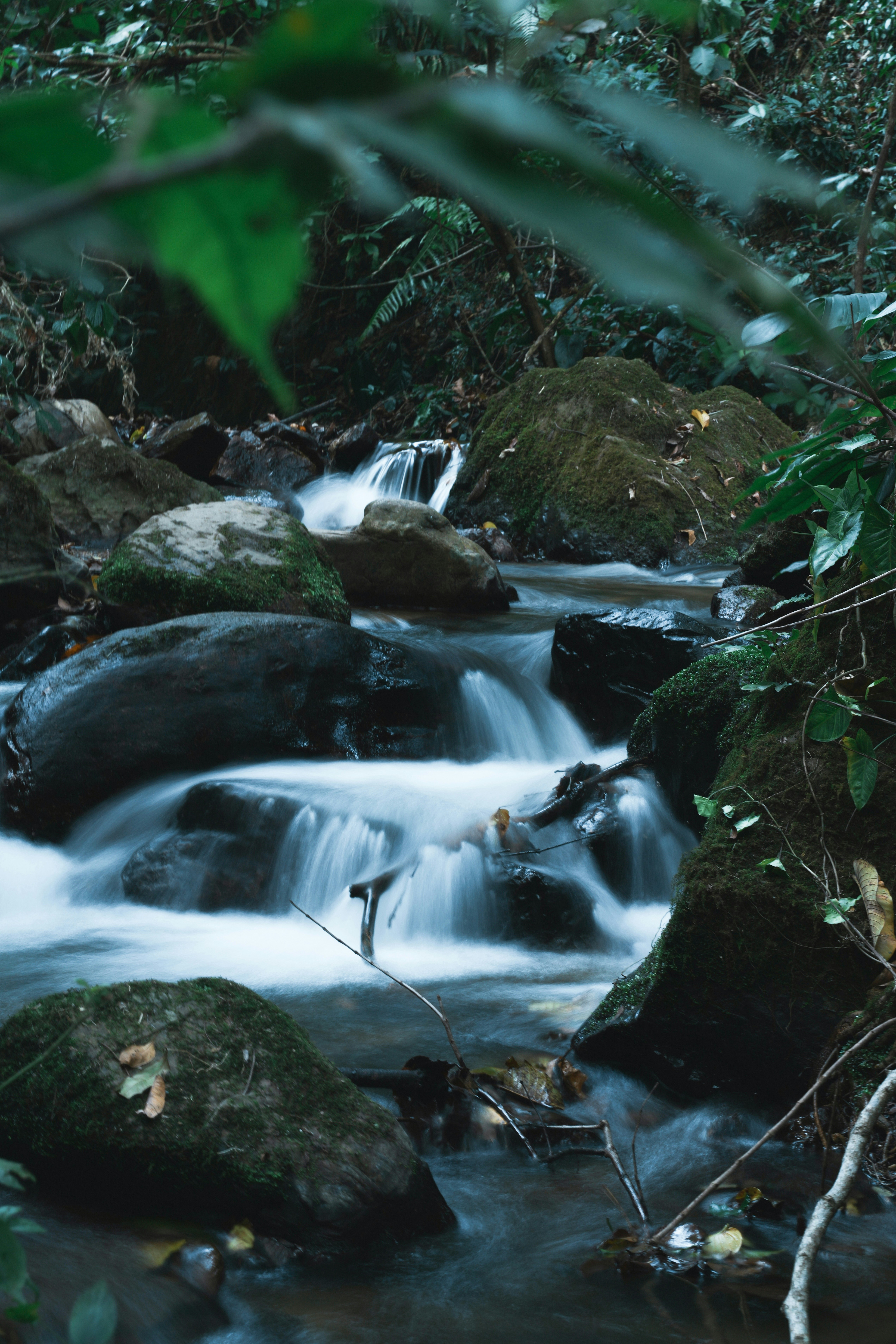 Photo by cardia_gong