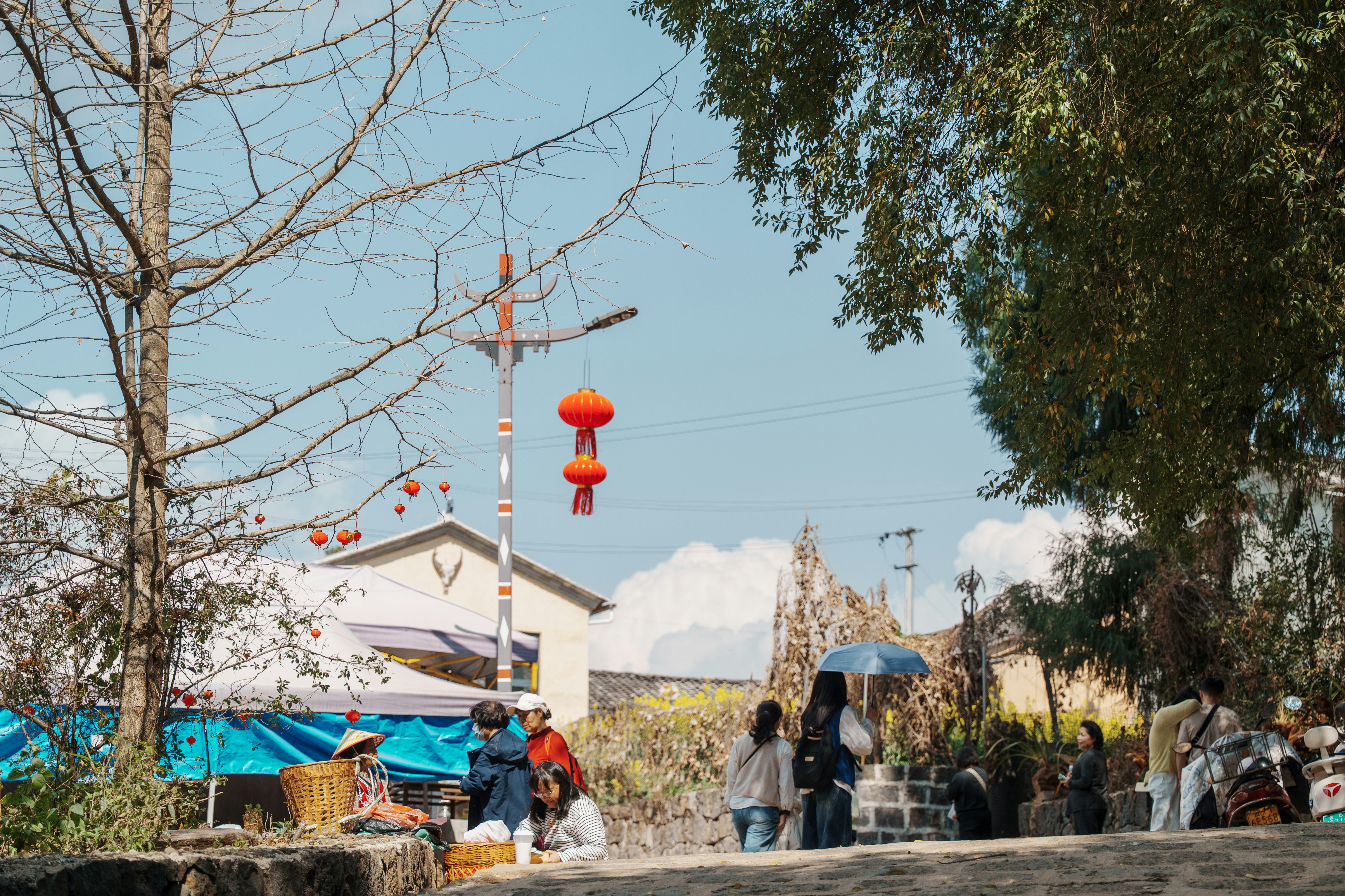 Photo by cardia_gong