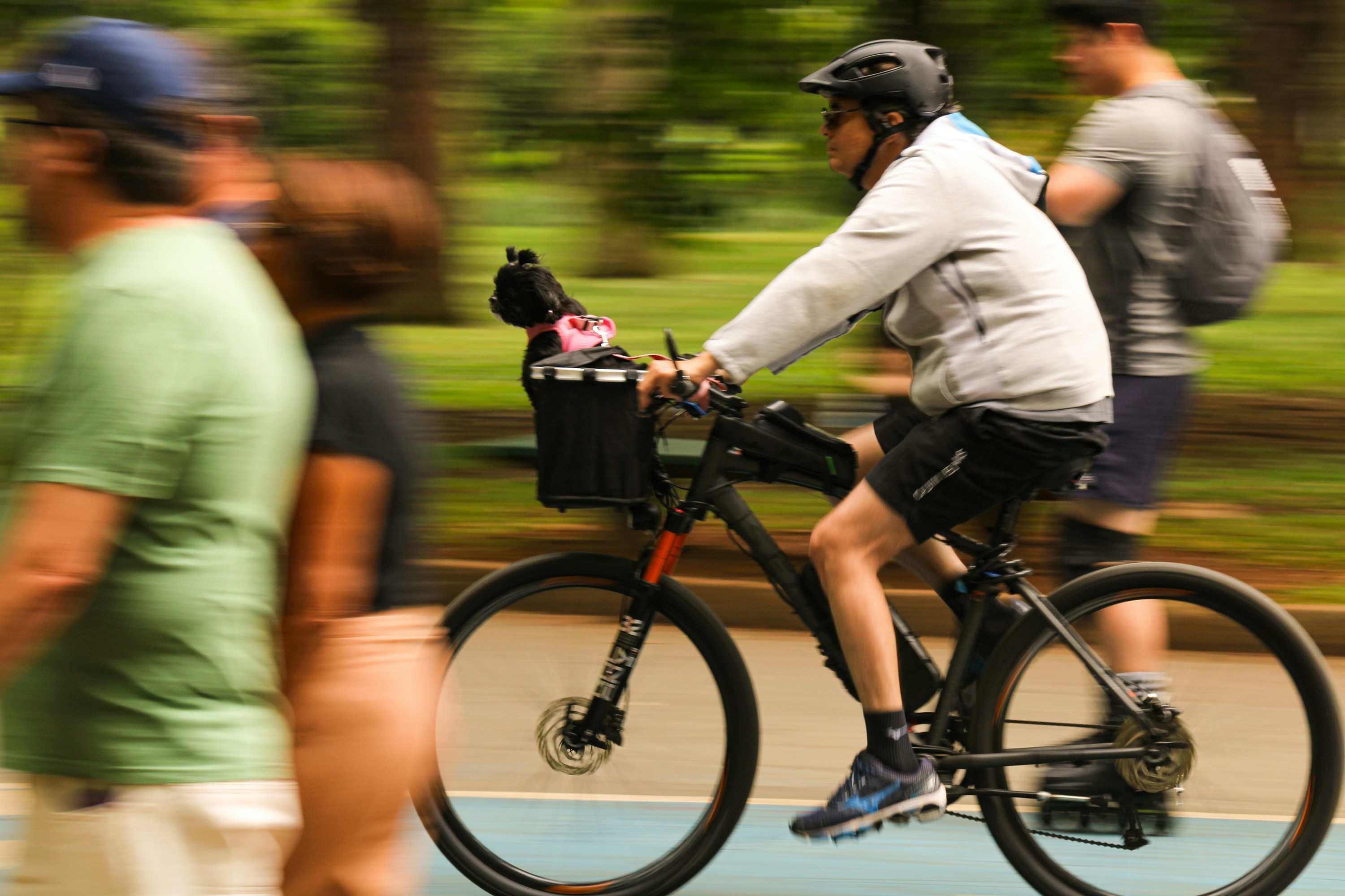 Photo by paulo_pescada