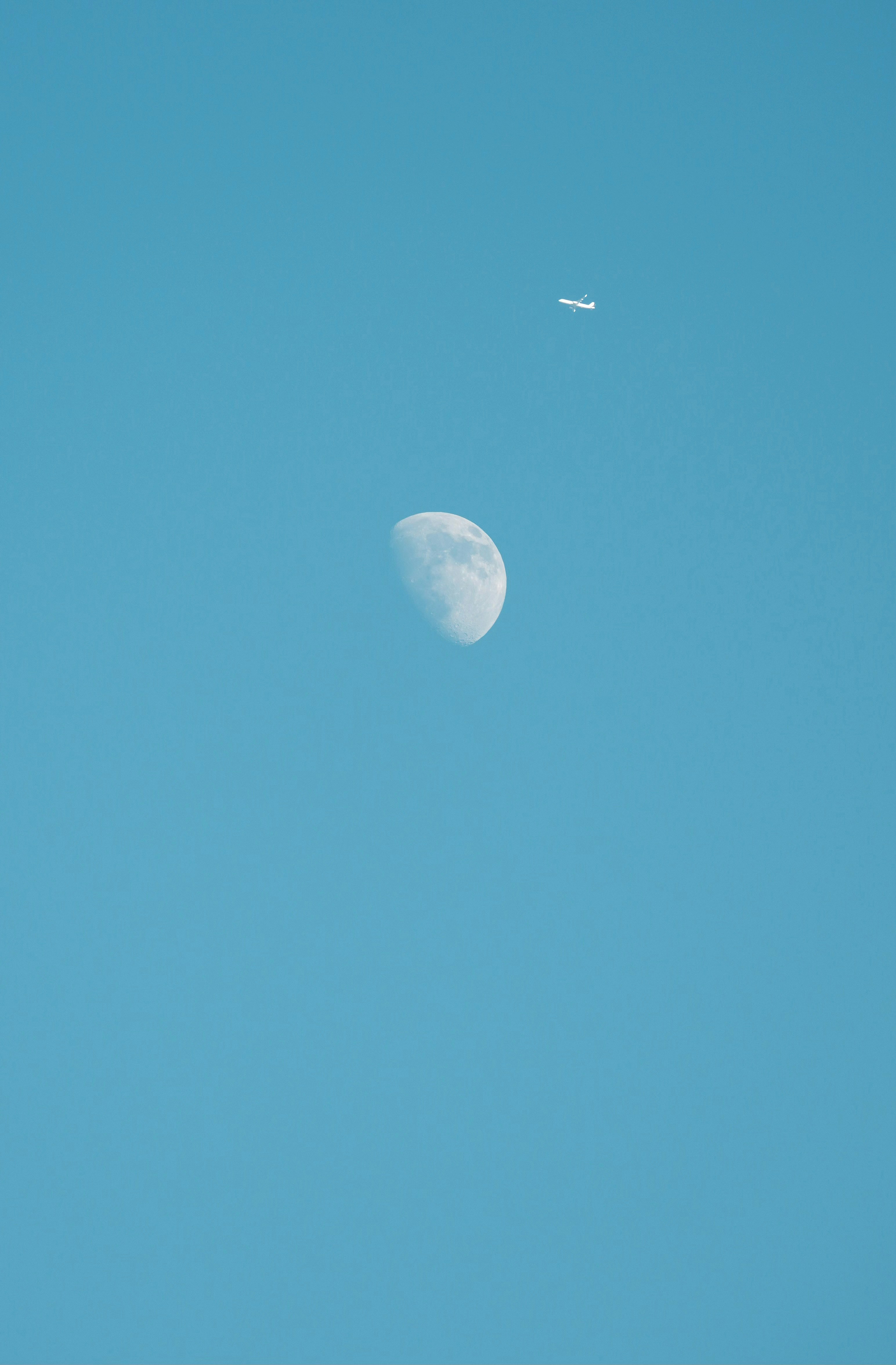 Photo by cardia_gong