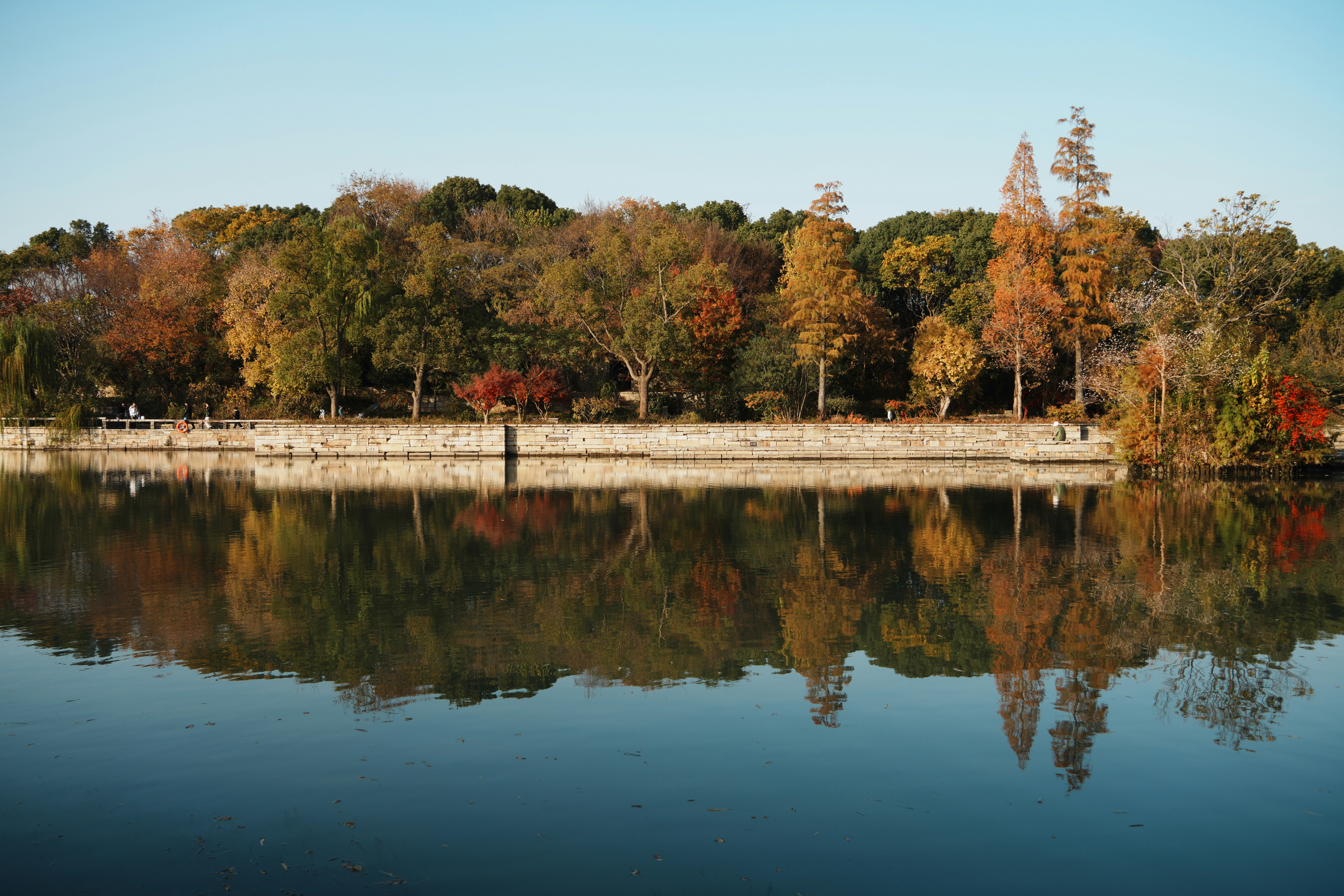 Photo by cardia_gong