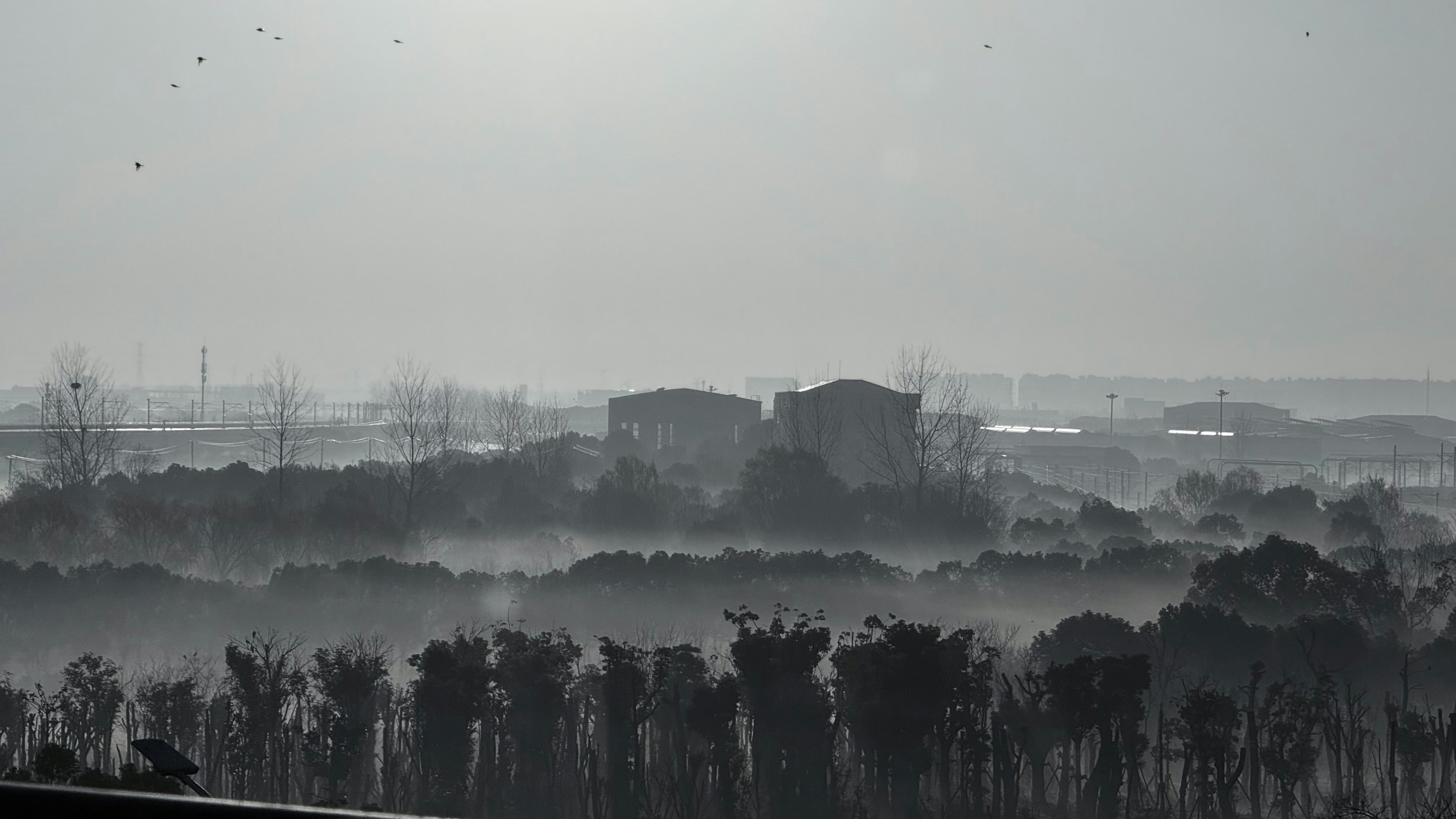 Misty landscape with trees and distant buildings