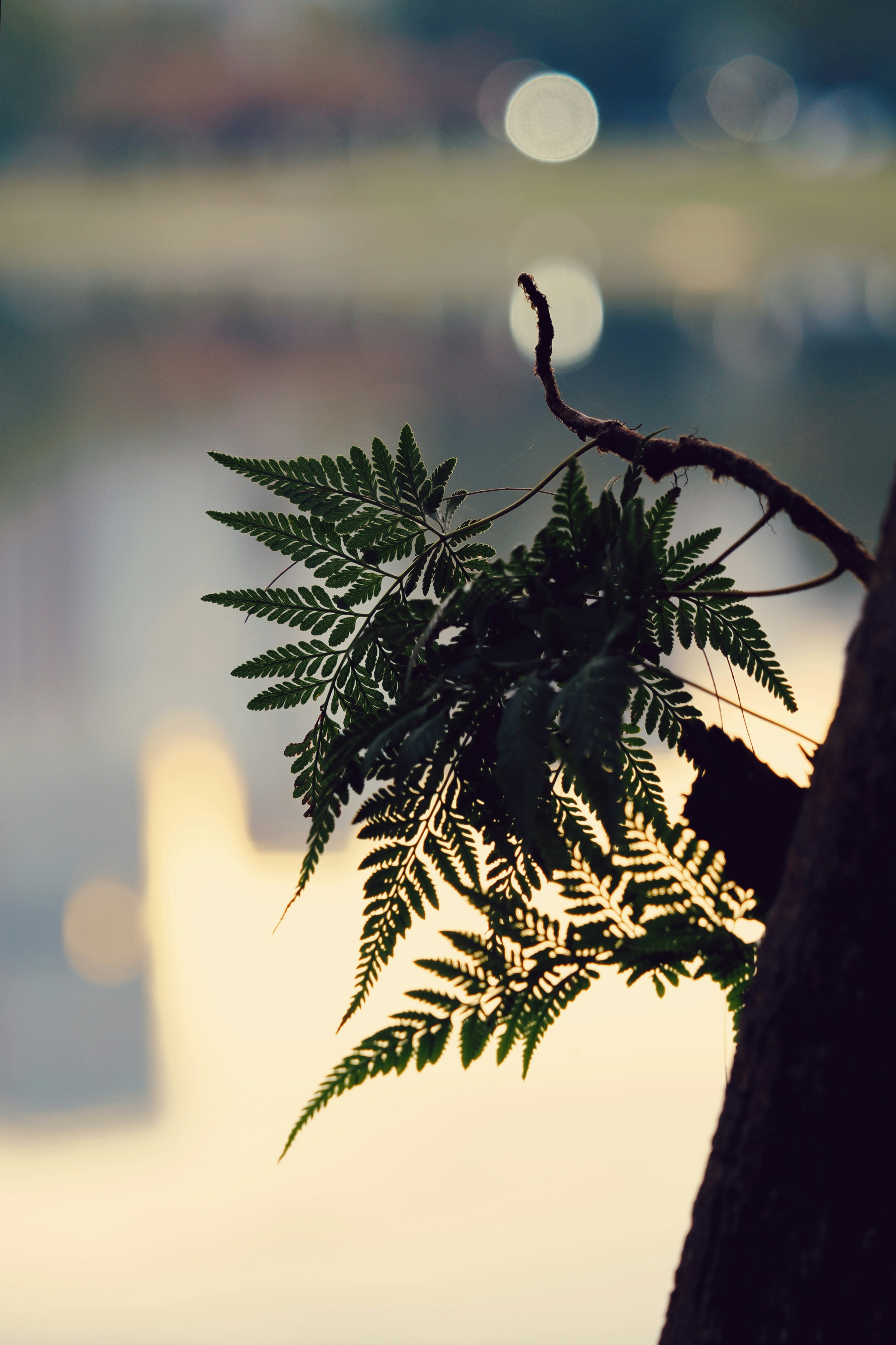 Photo by liliantruong2603