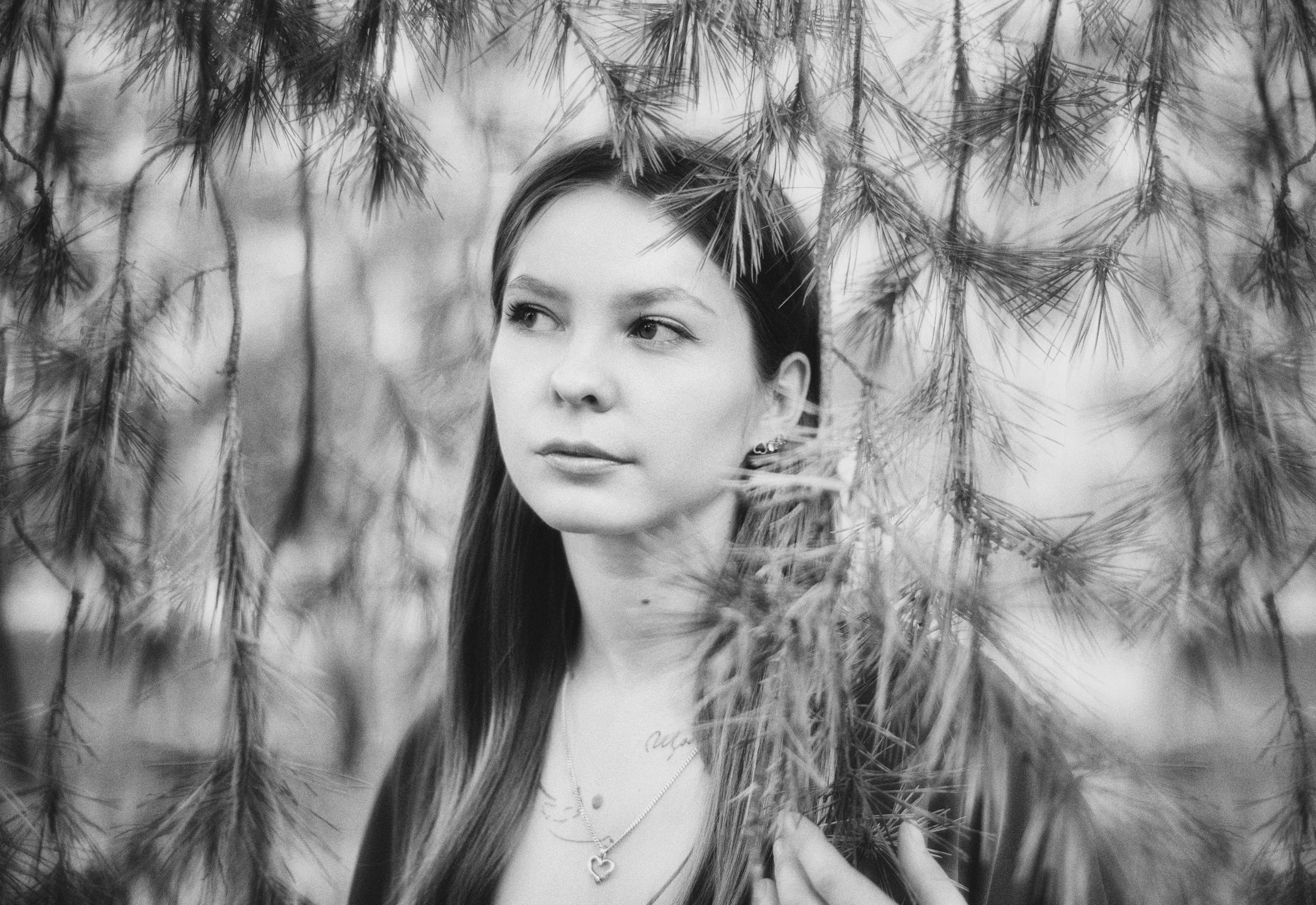 Photo by vitaliyshev89