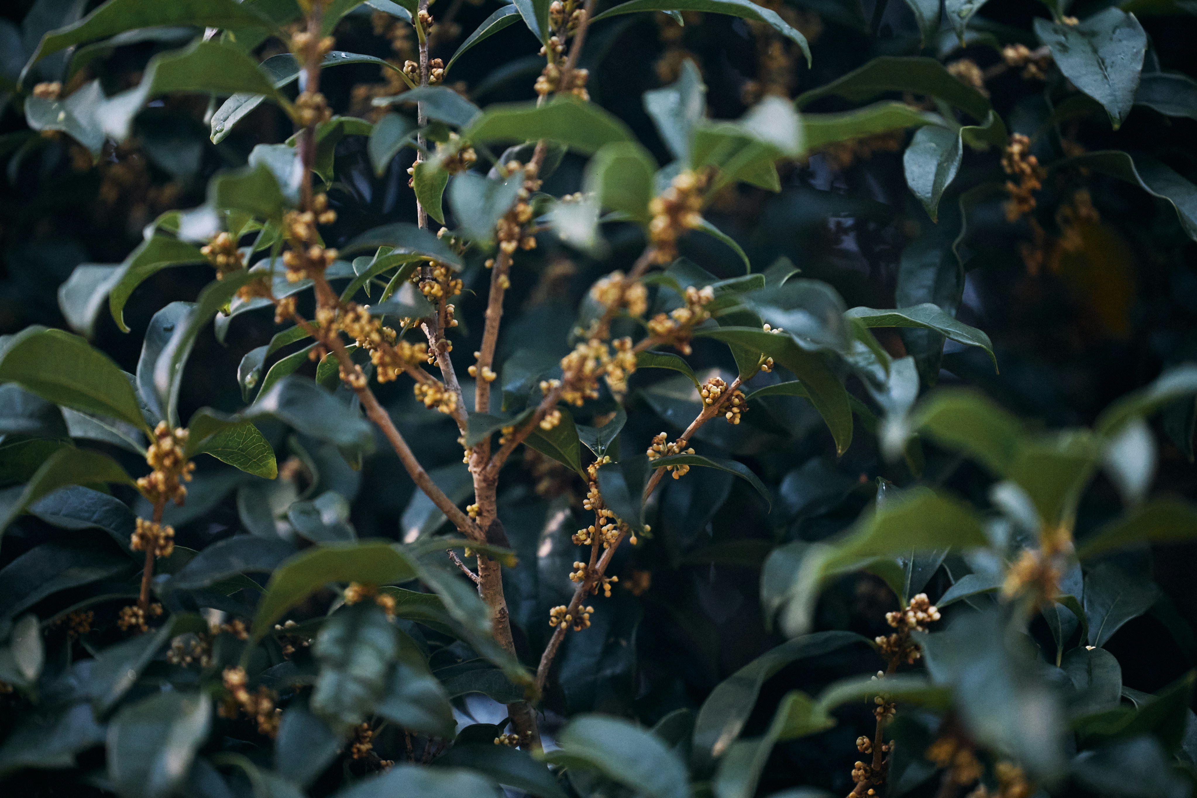 Photo by tsuyoshikozu