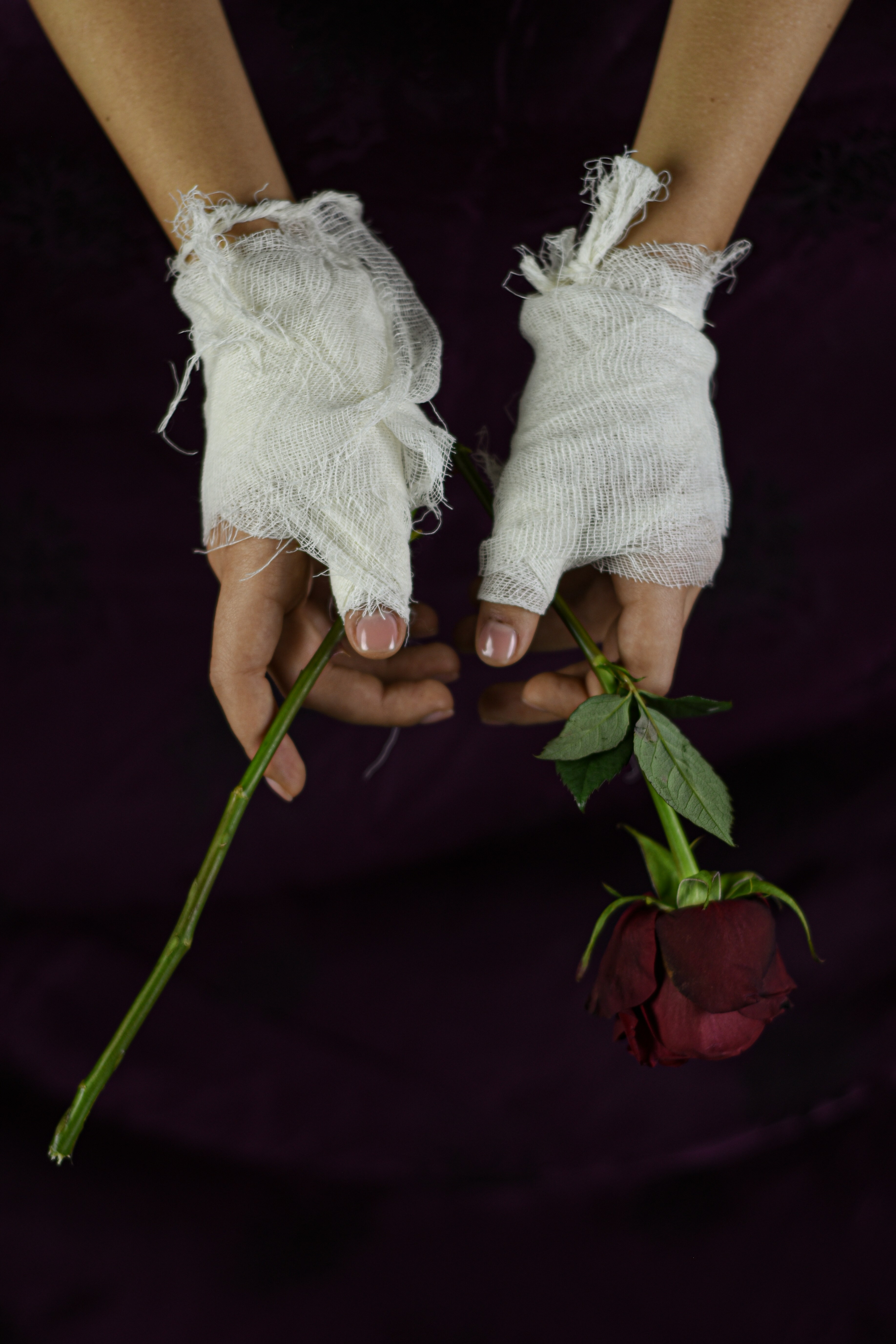 Les mains bandées, tenant une rose fanée.