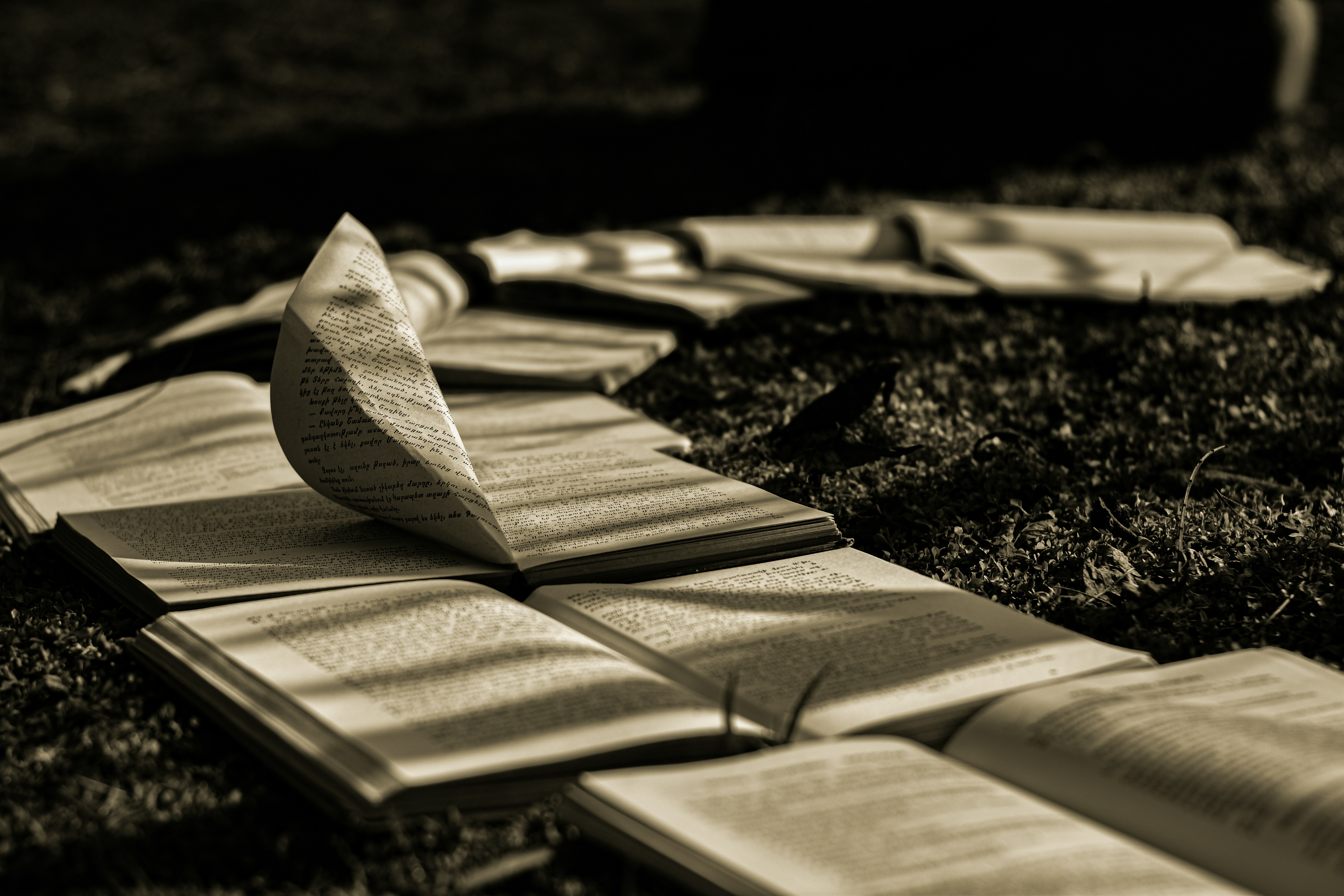 Feuer ohne Streichholz: Techniken der primitiven Feuerentzündung