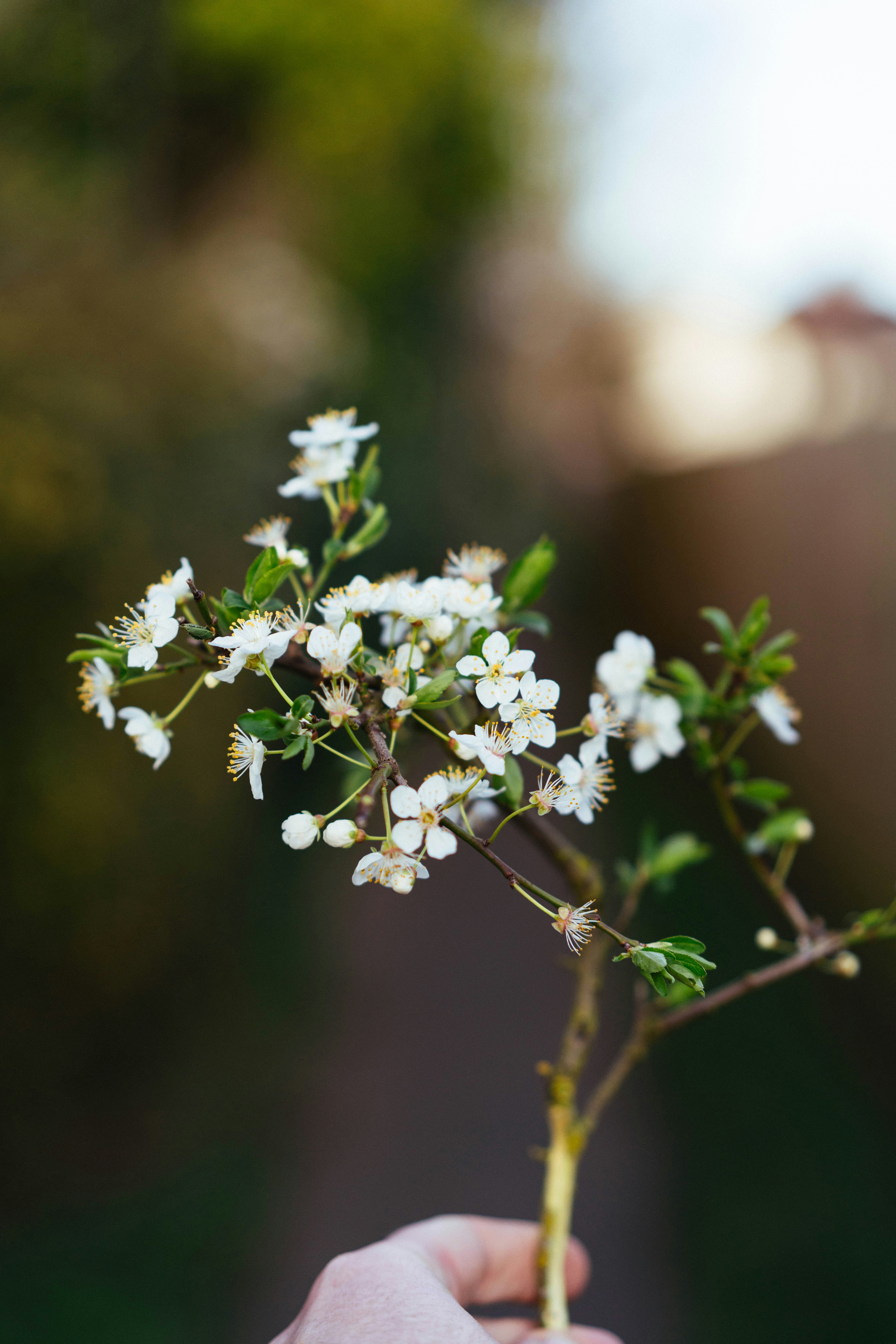 Photo by philhearing