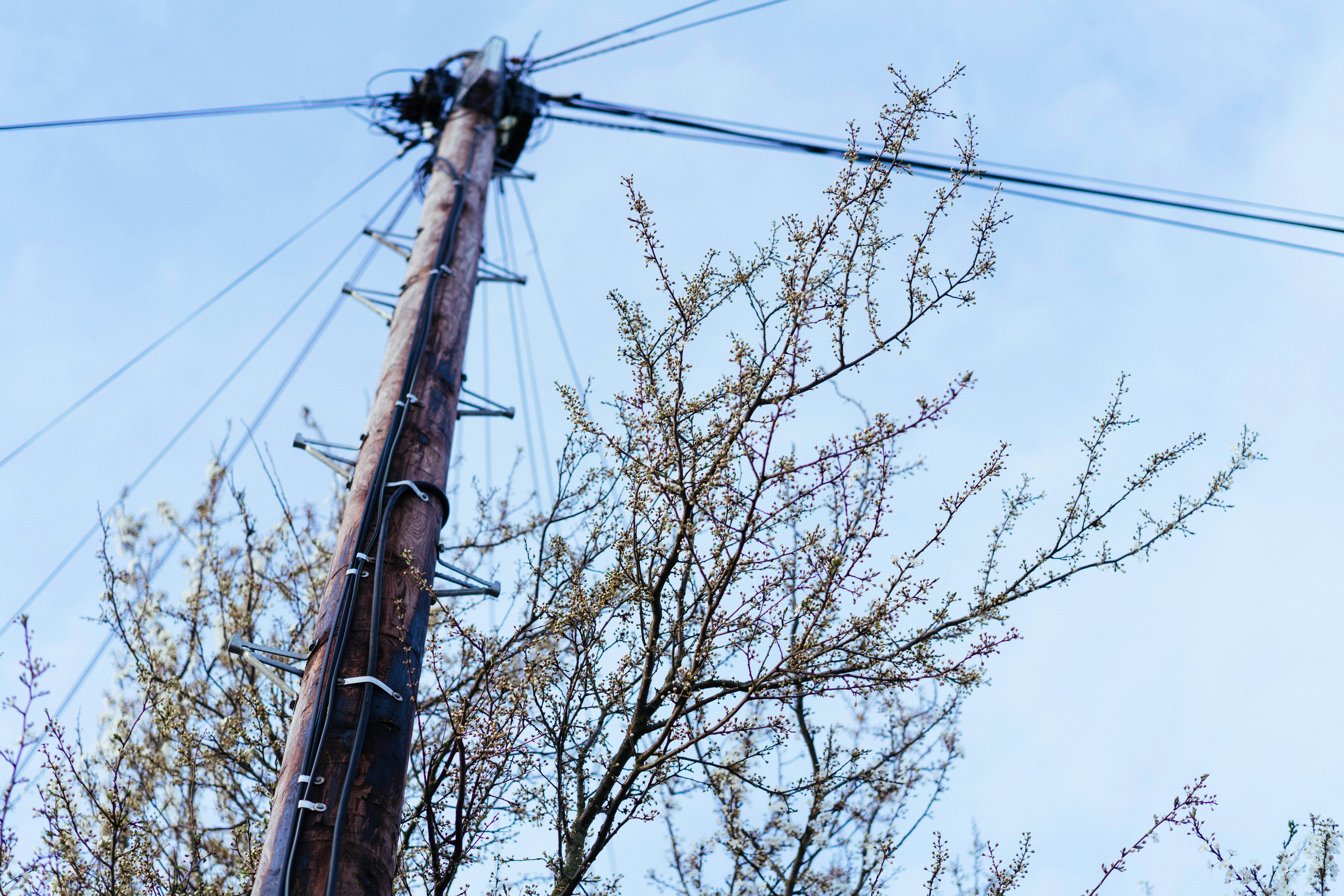 Photo by philhearing