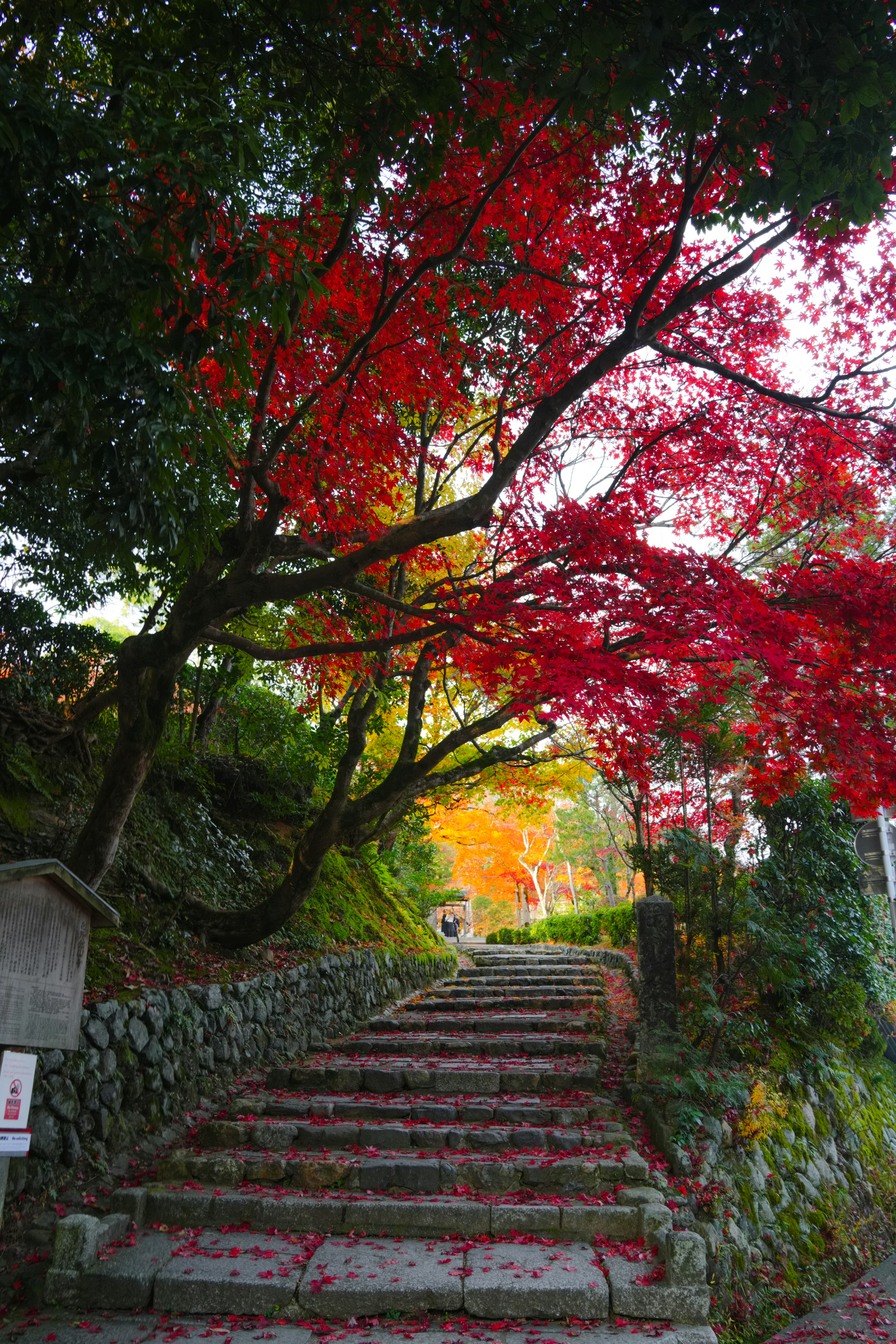 Photo by hattrick1996