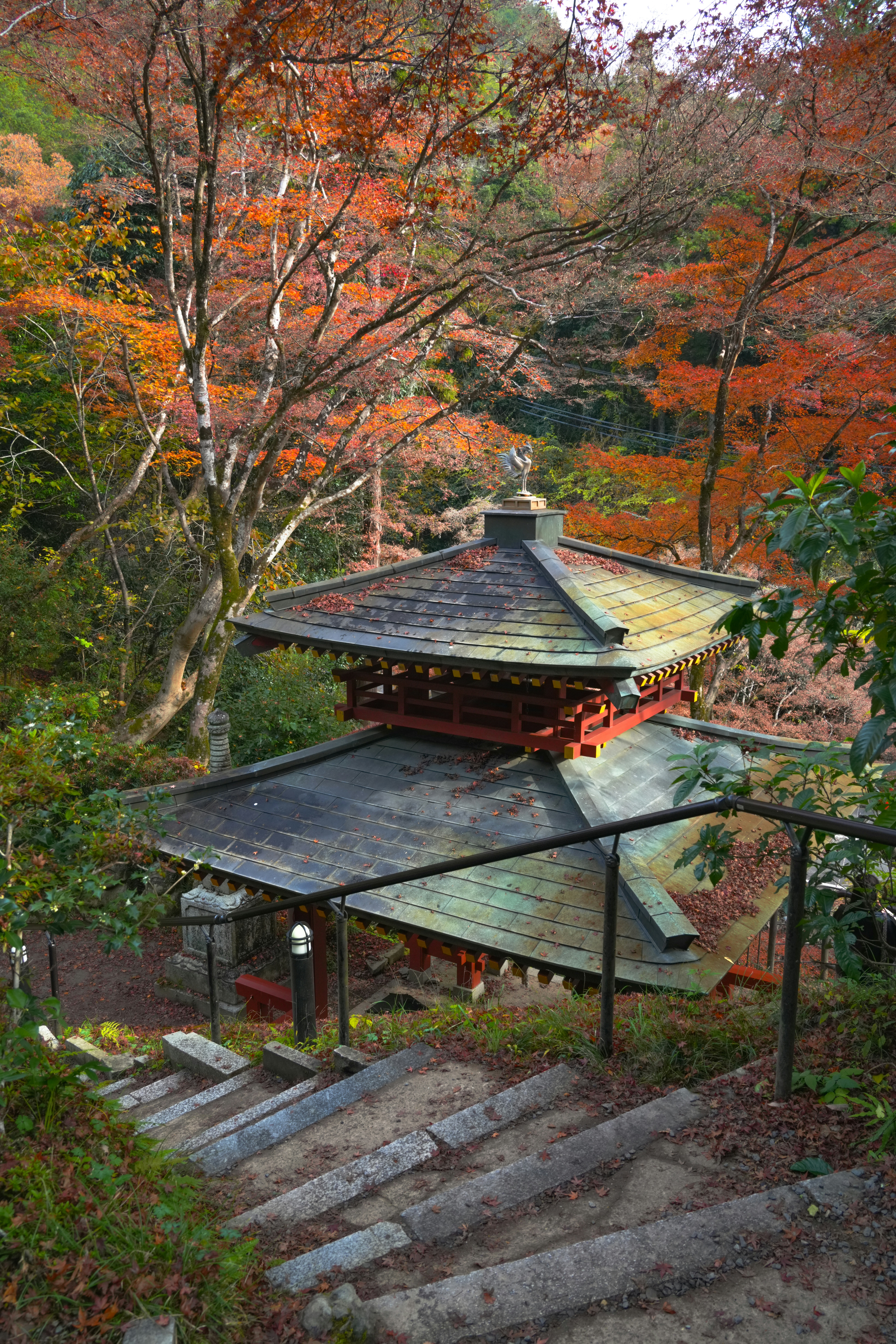 Photo by hattrick1996