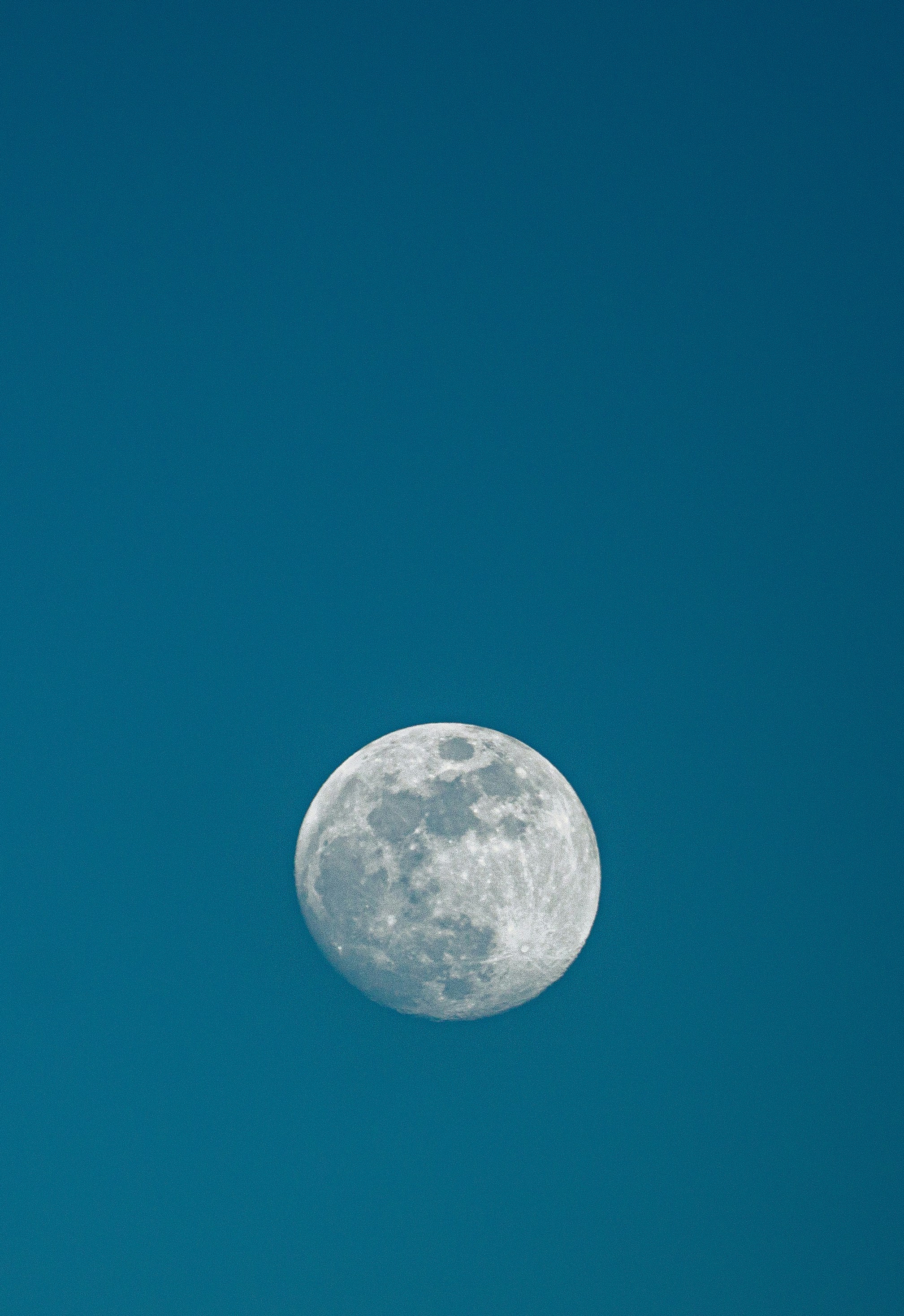 Photo by creative_lens