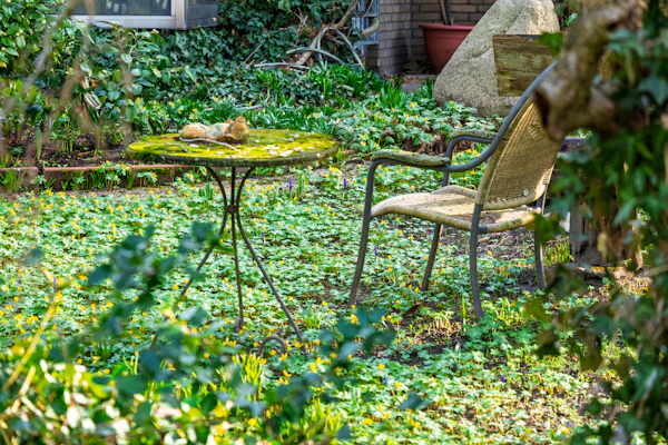 A metal chair and moss-covered table in a garden.