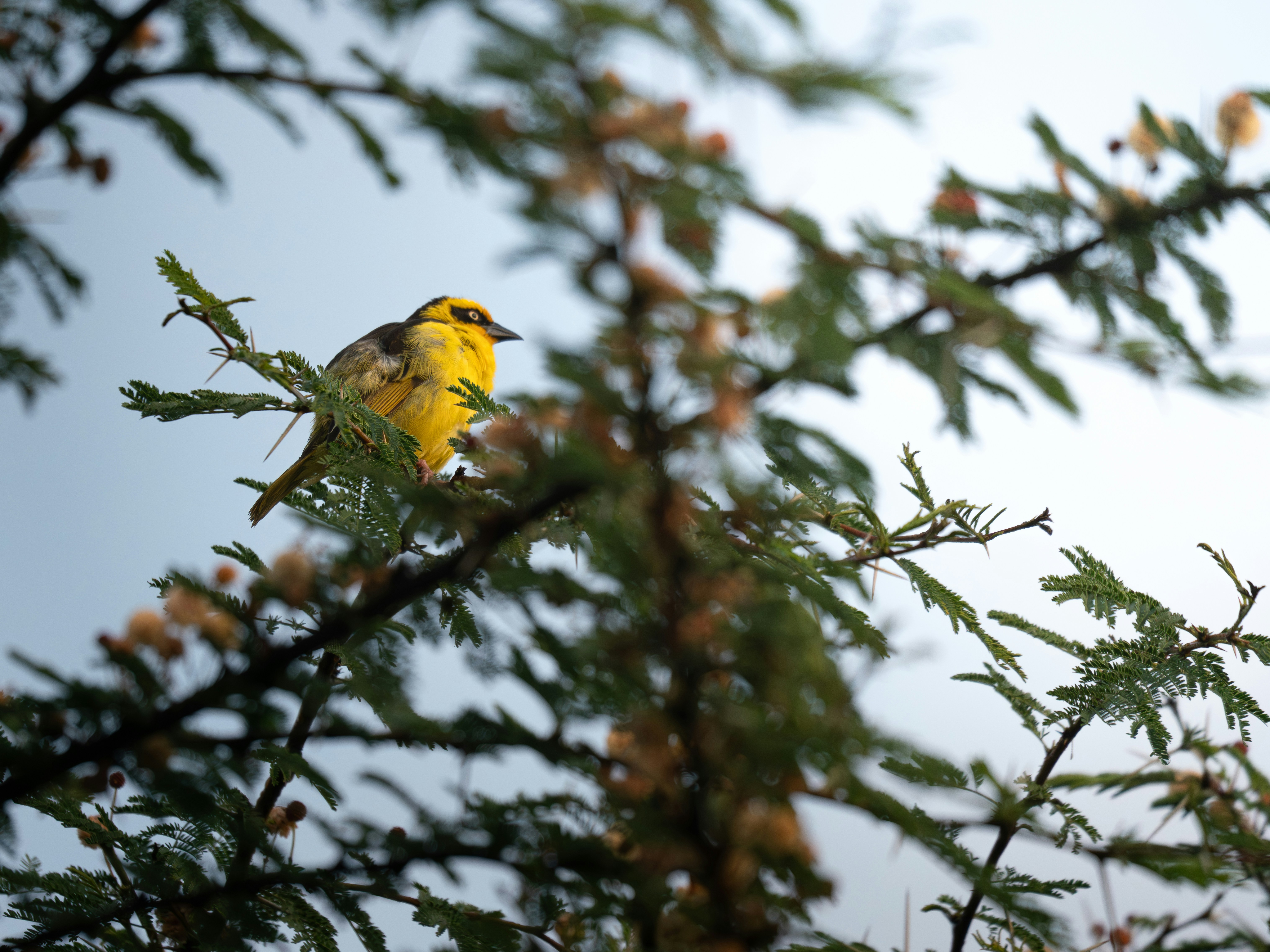 Photo by hosay_halapeno07