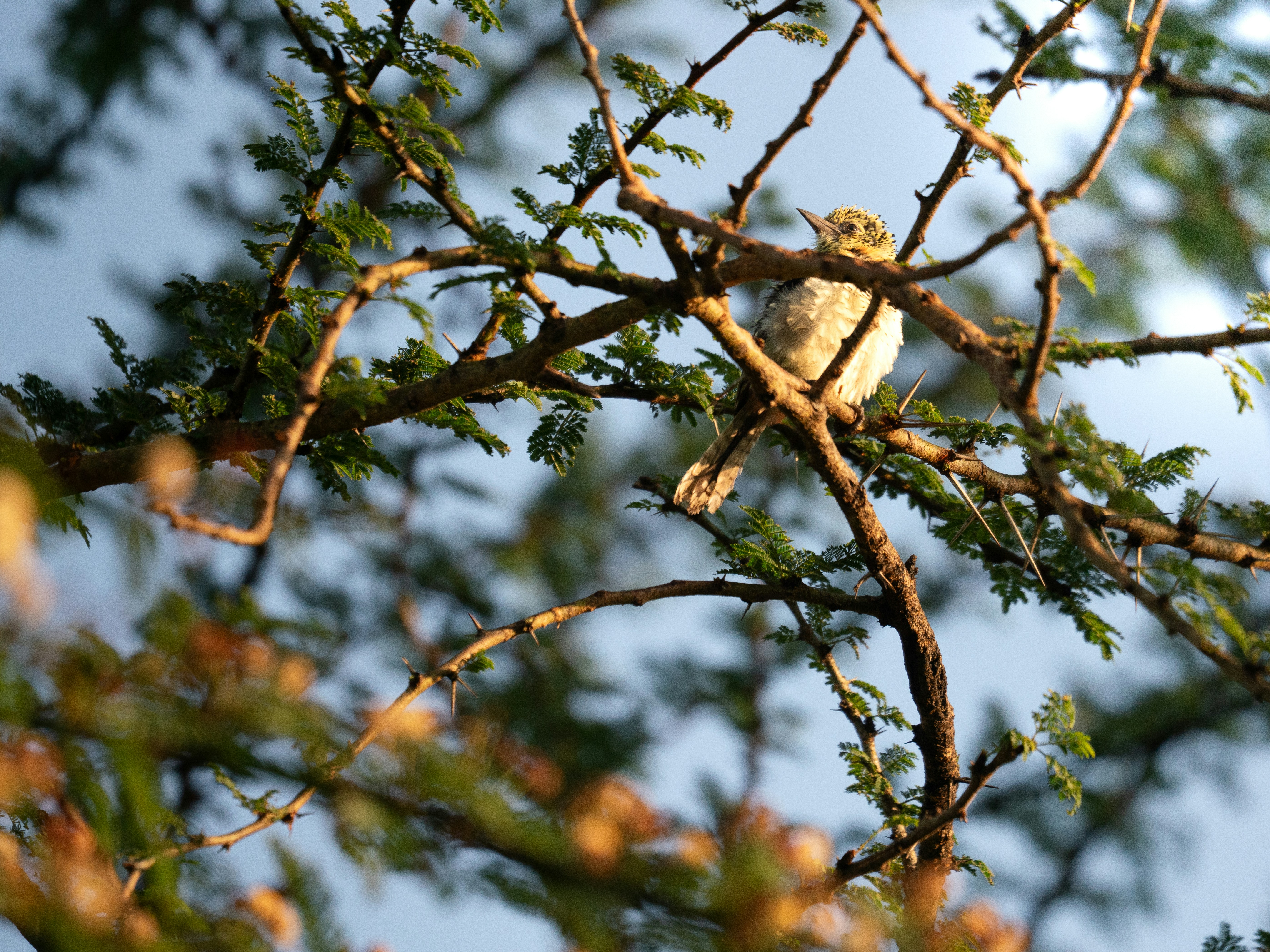 Photo by hosay_halapeno07