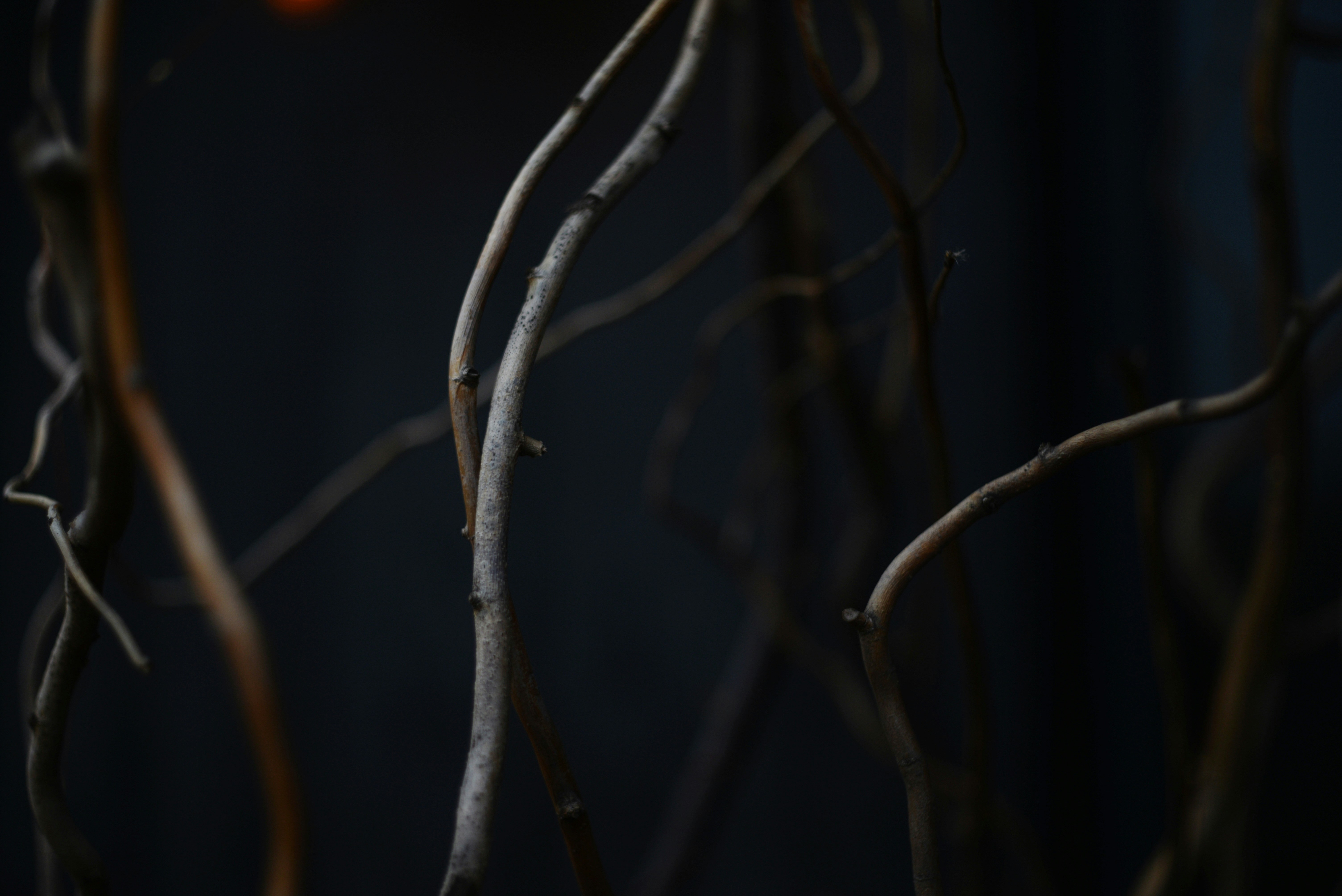 Photo by cherstve_pechivo